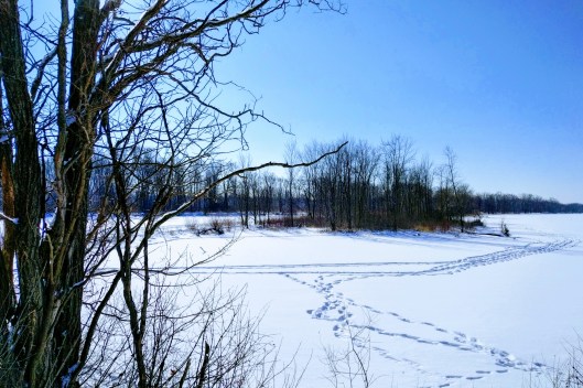 img_20220125_1159502