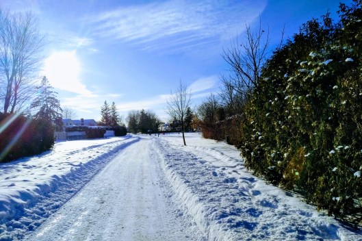 img_20220128_1520520