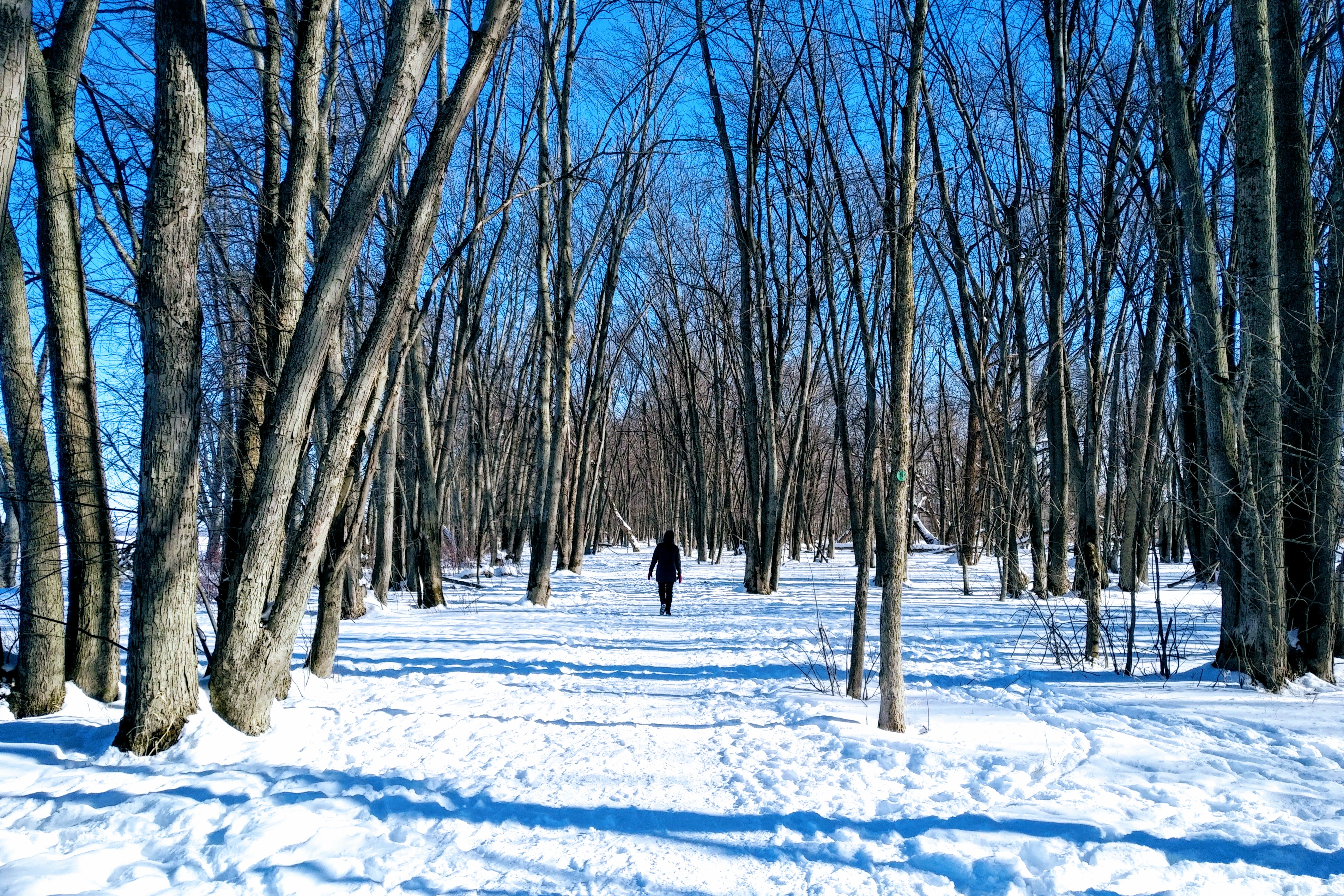 img_20220129_1151420