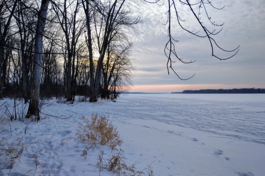 img_20220201_1555425