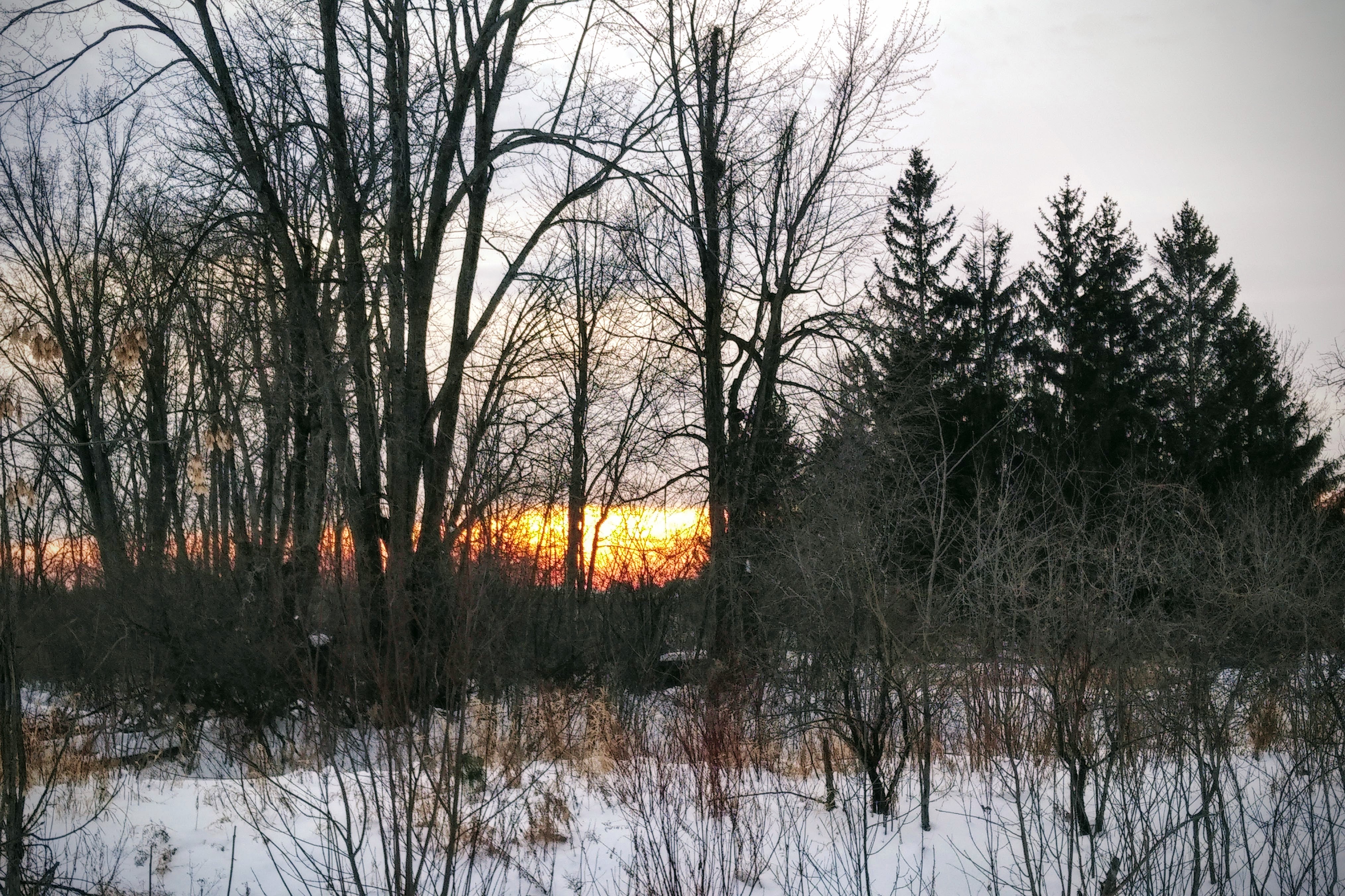 img_20220201_1629551-effects