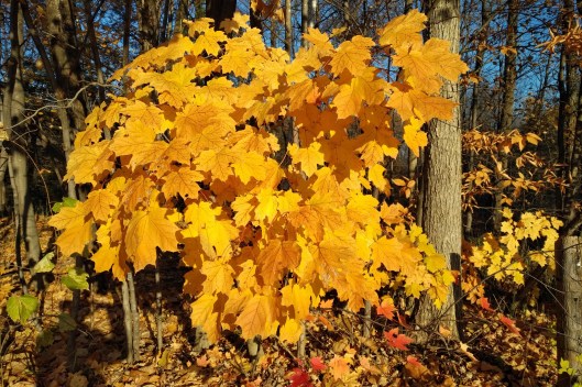 img_20211107_0827552