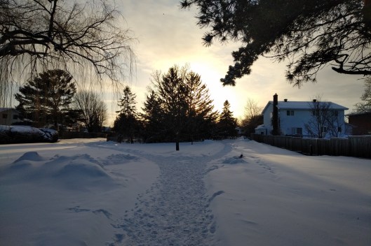 img_20220225_1703098