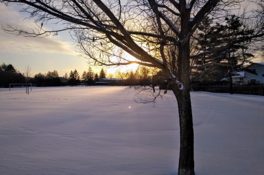 img_20220225_1708151