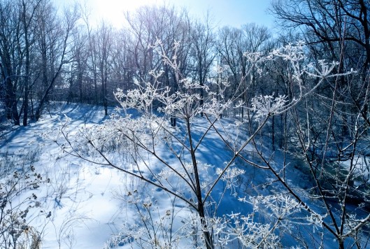 img_20220226_0922025