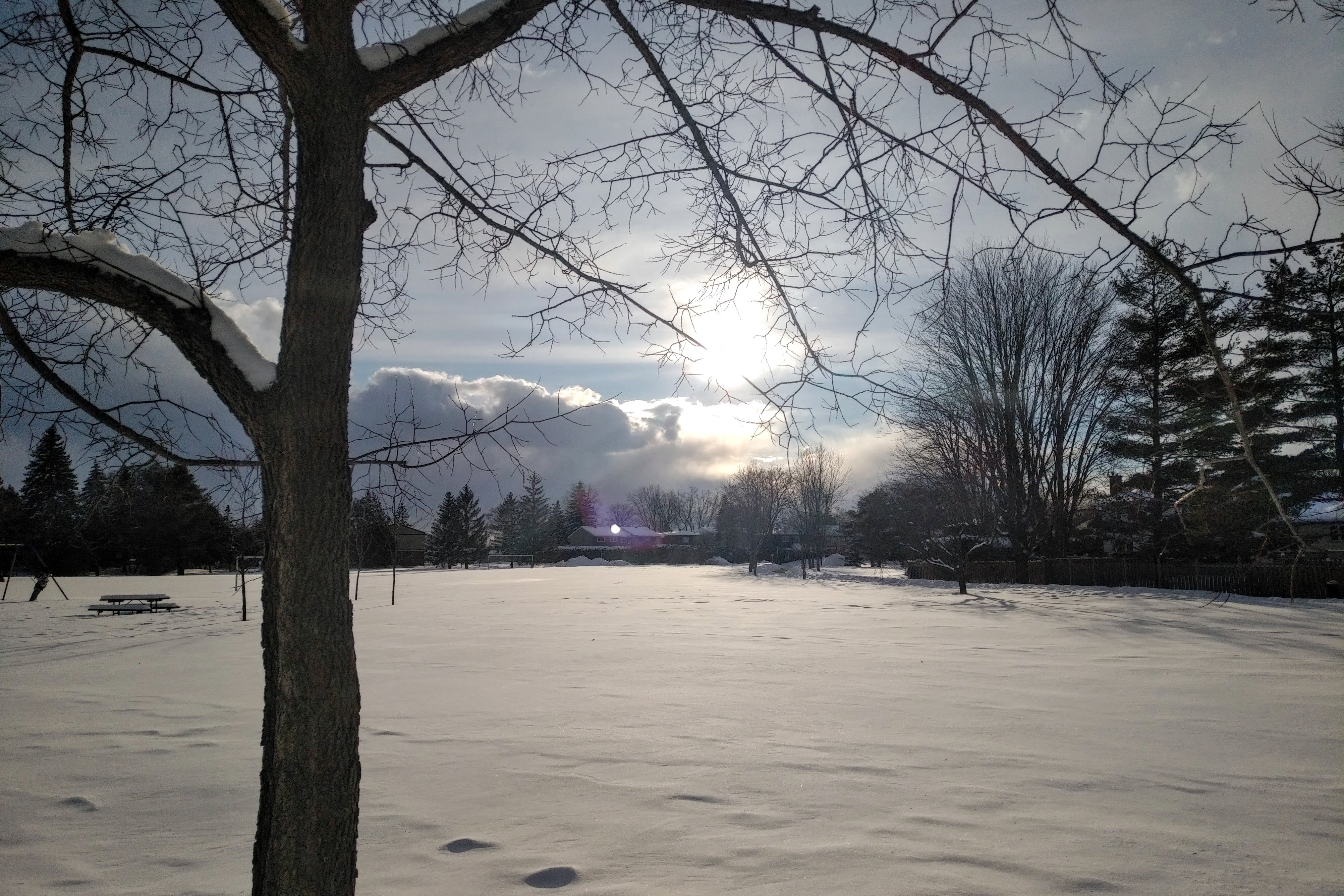 img_20220312_1651071