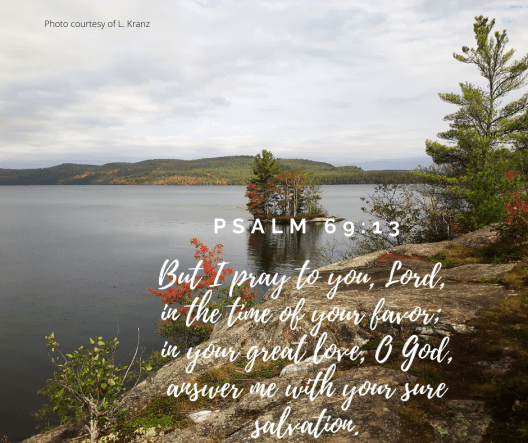 Psalm 69-13