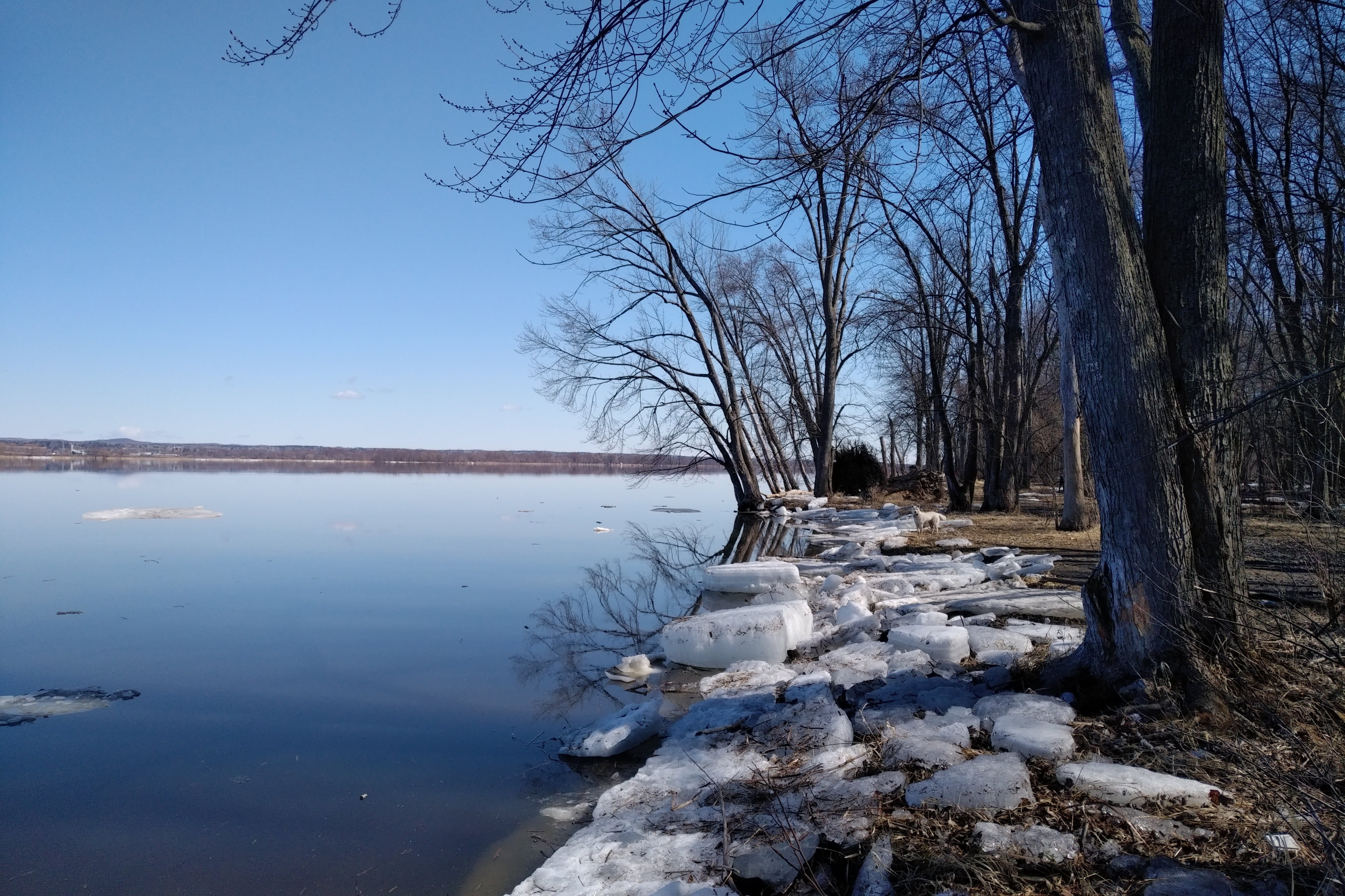 img_20220404_1058102