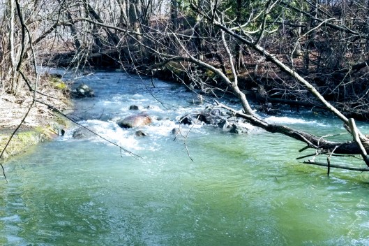 img_20220409_1618013