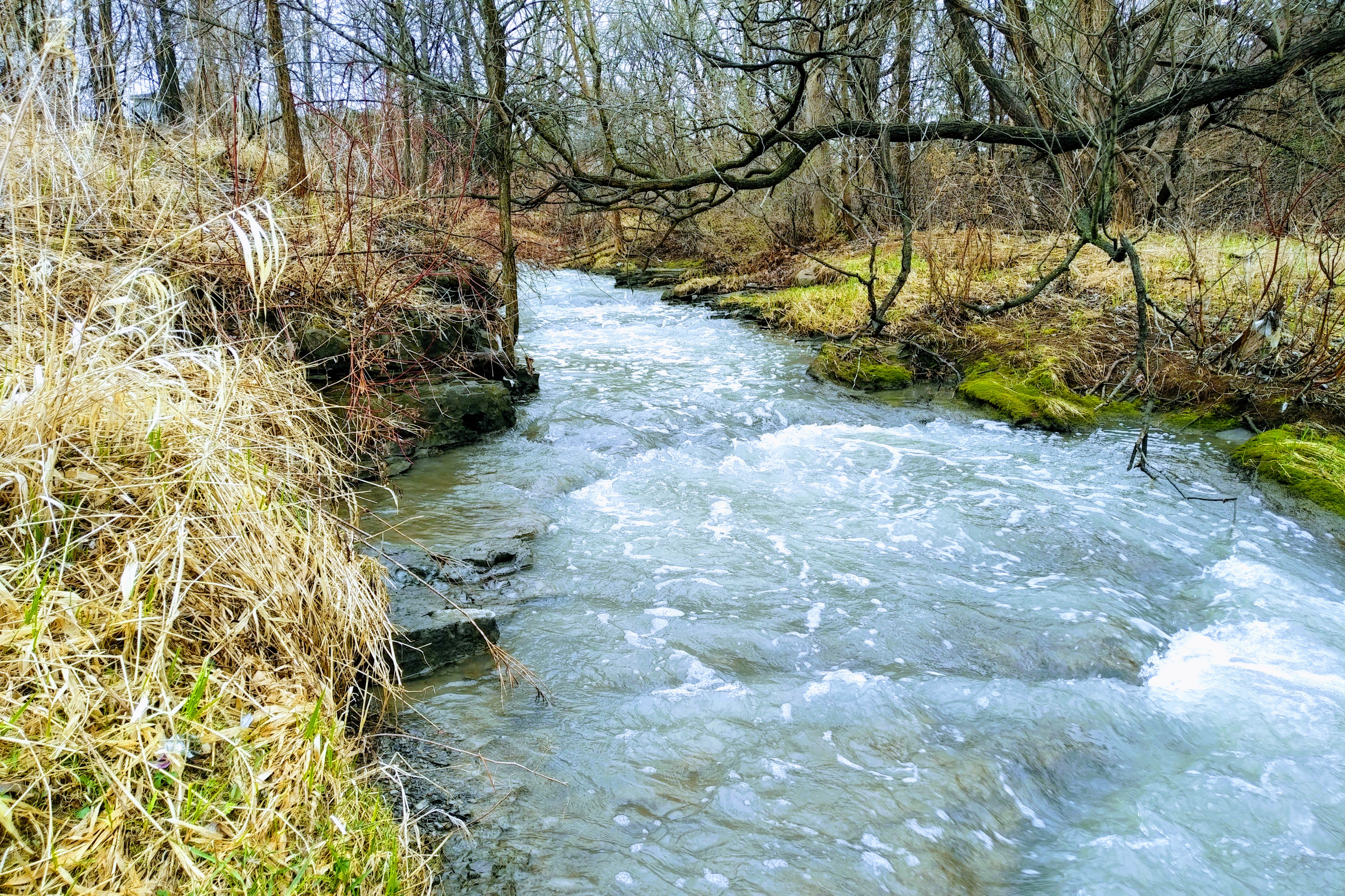 img_20220426_0911106