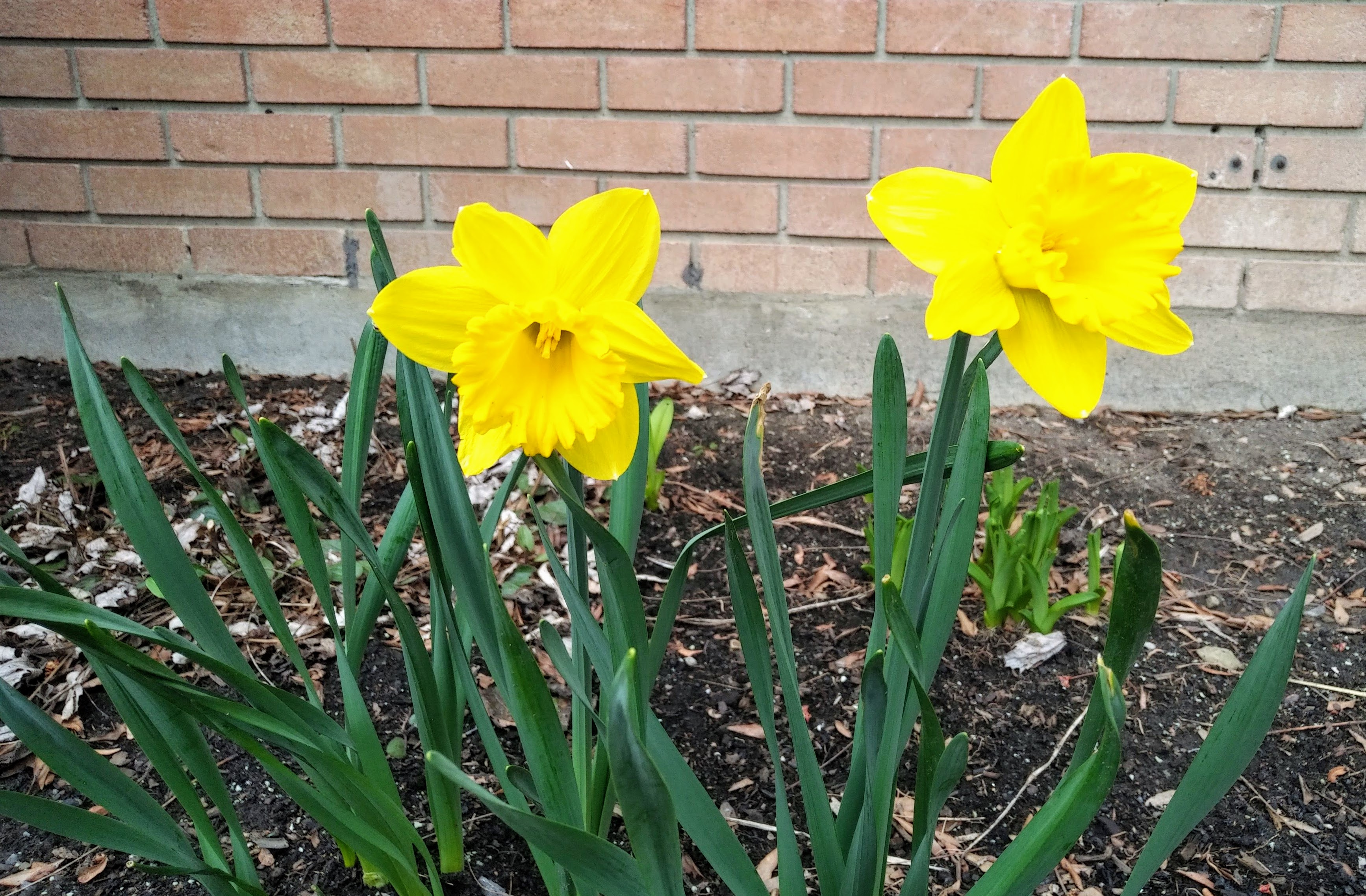 img_20220426_1525199