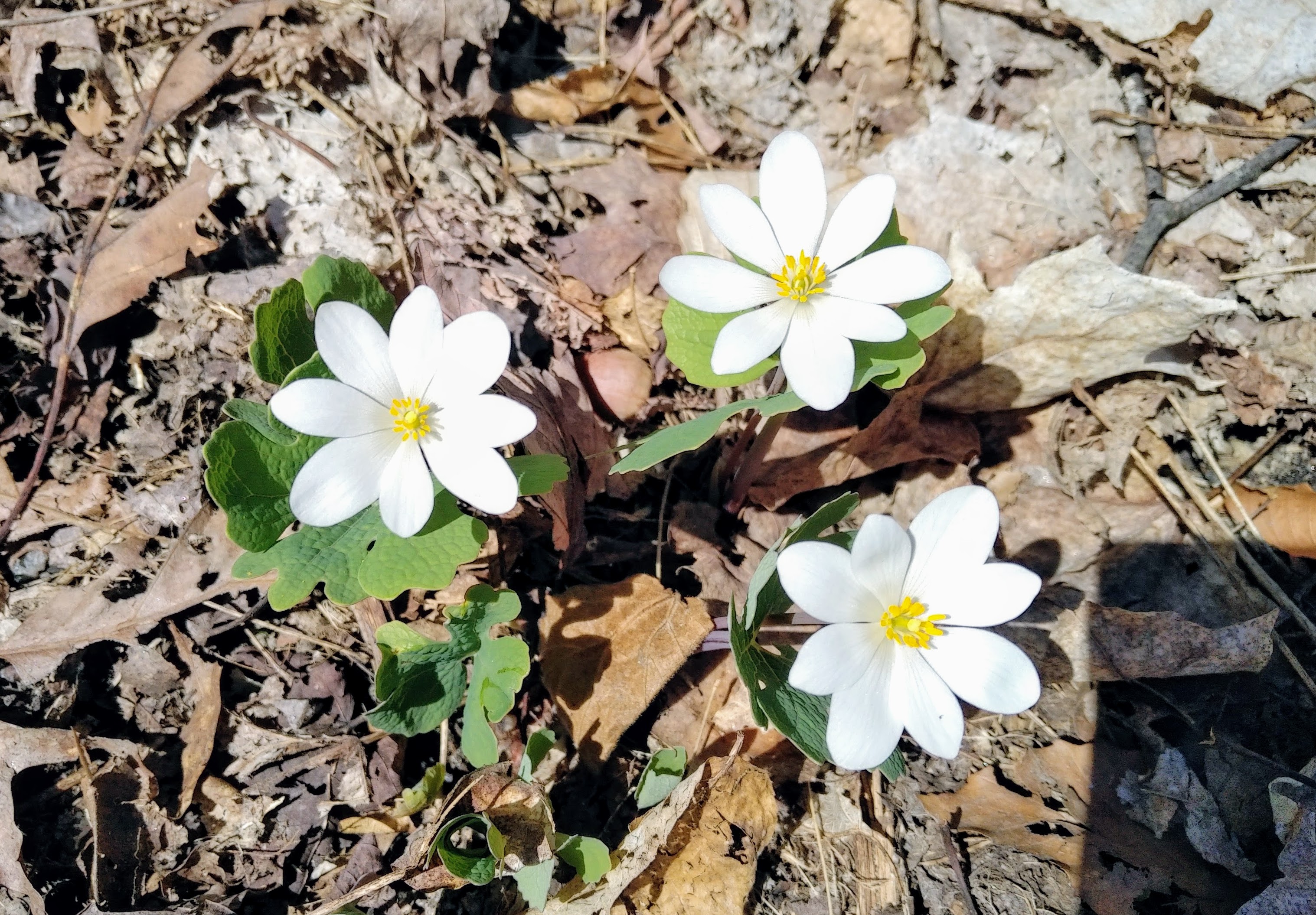 img_20220508_1423325