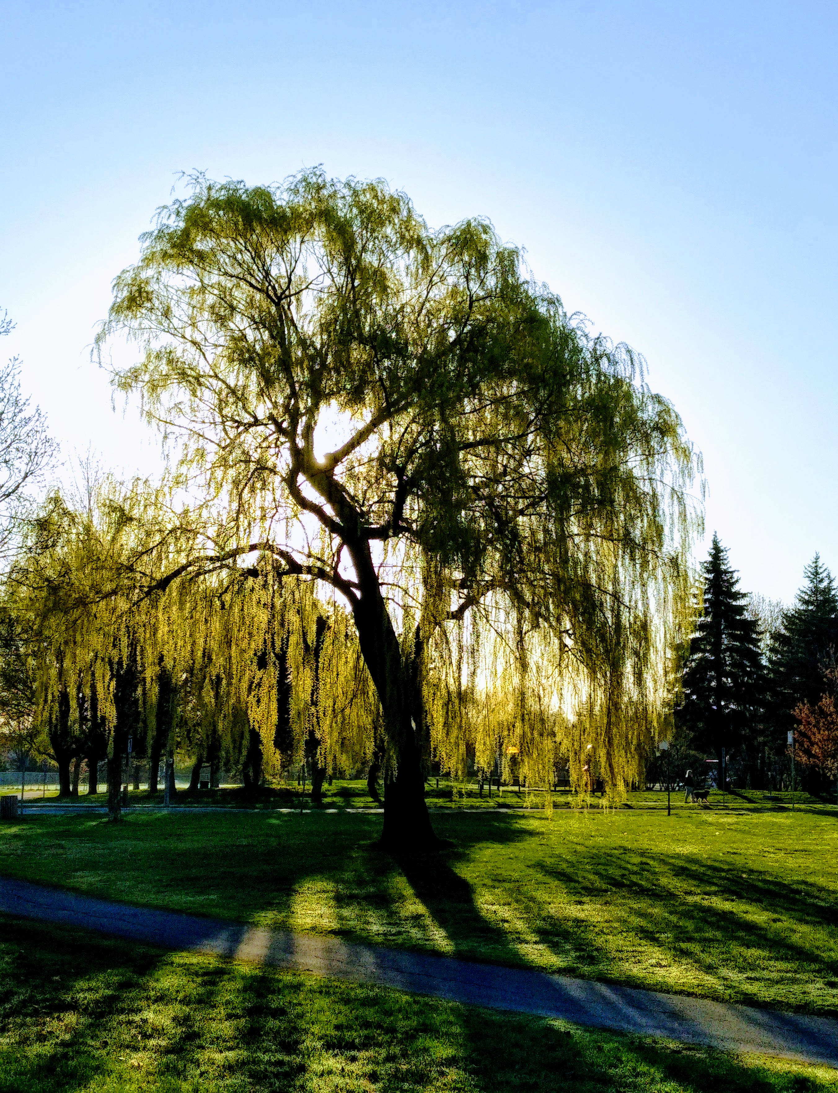 img_20220511_0645478