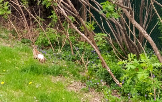 img_20220515_0926169