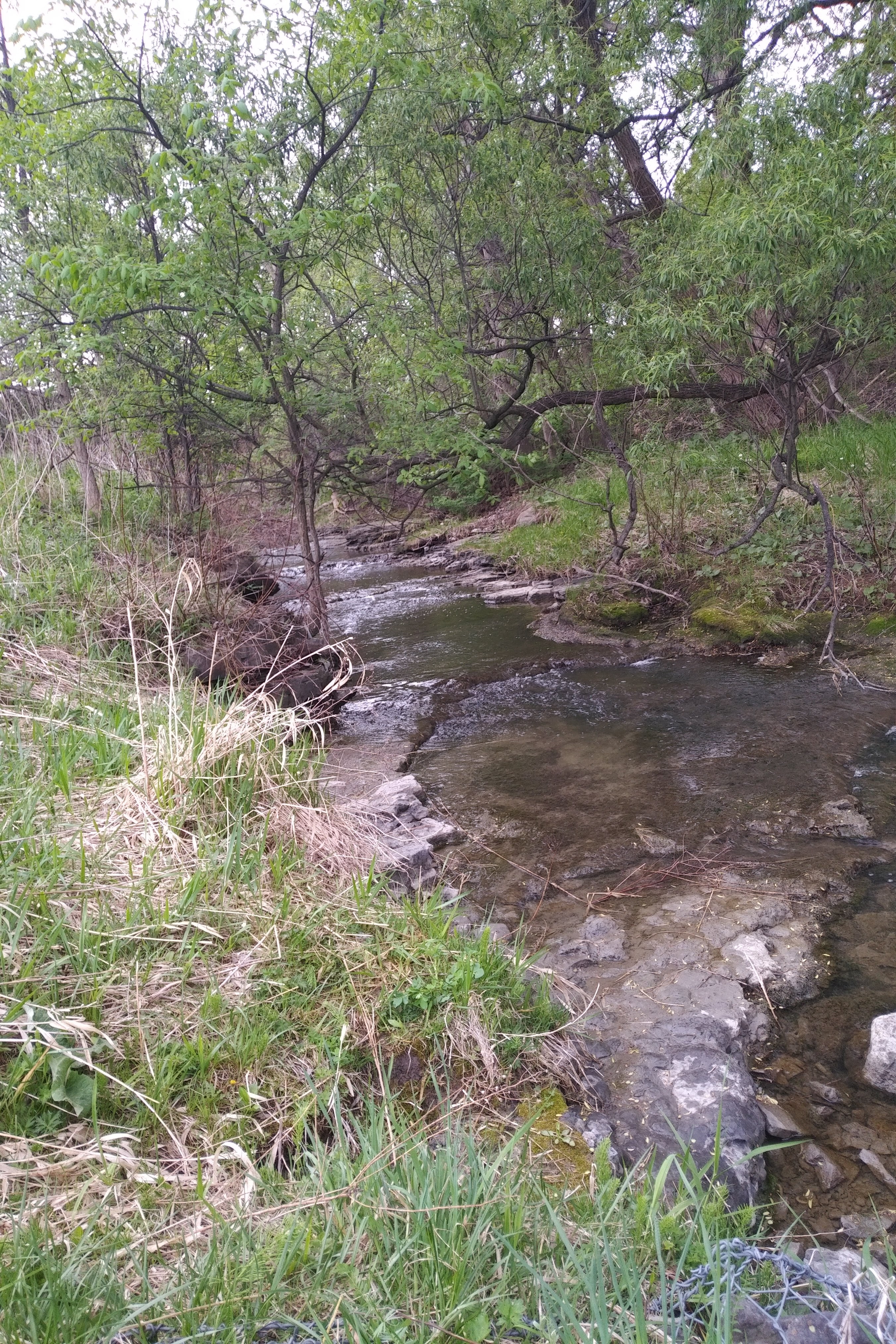 img_20220515_0938541