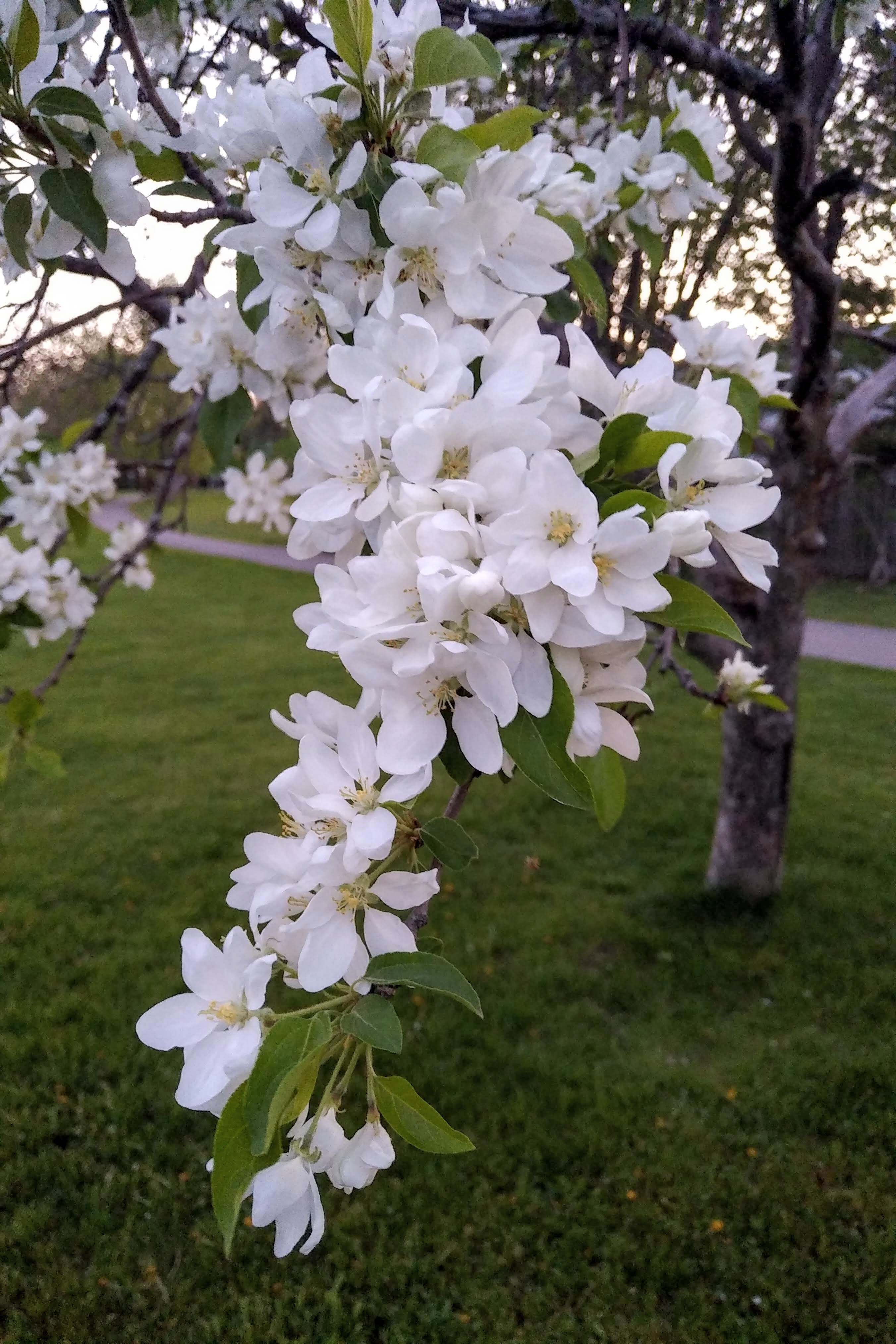 original_9a423d1f-3154-4f62-ad12-1a529cf66907_img_20220514_2033260