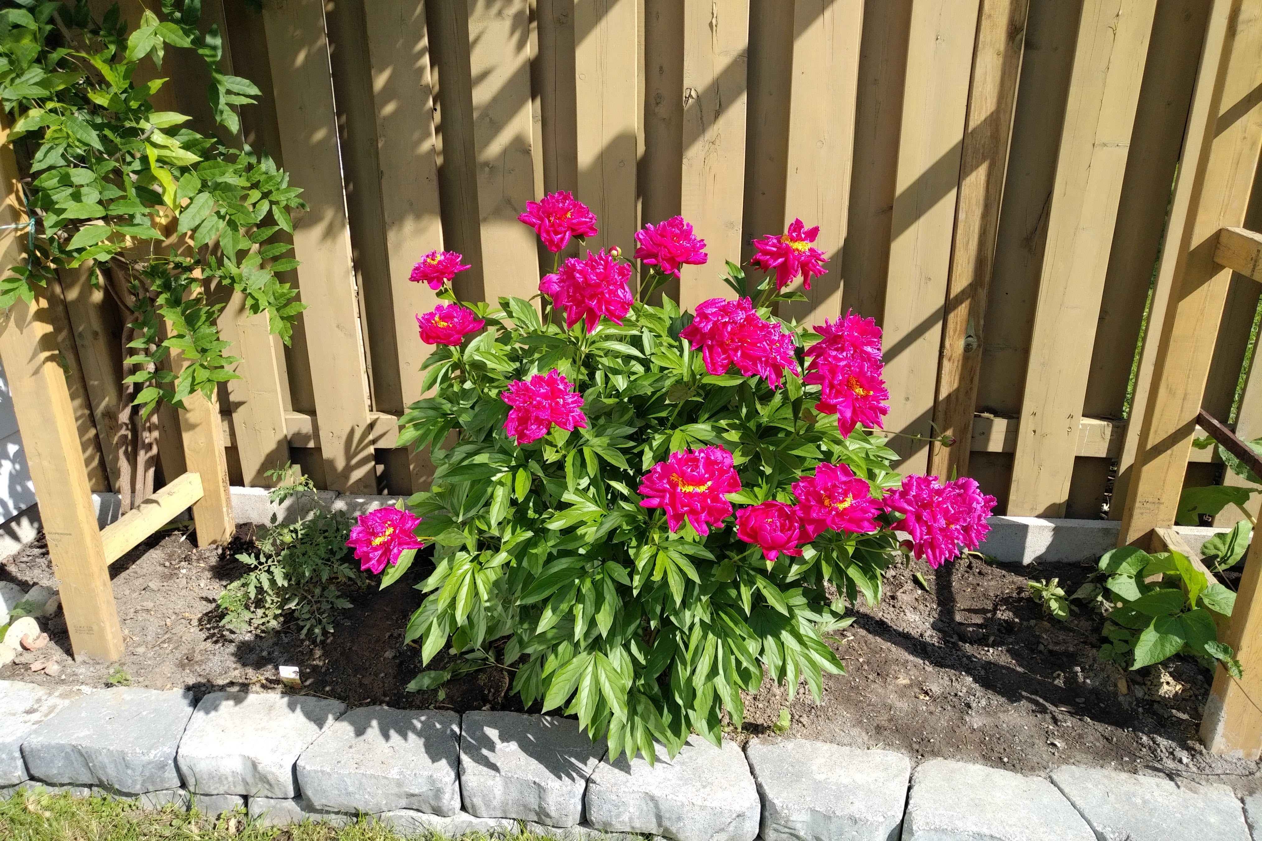 img_20220614_1639594