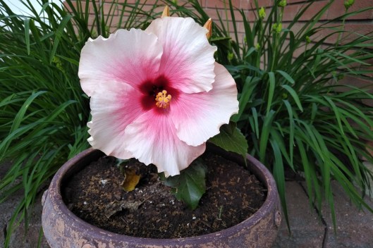 img_20220615_1919158