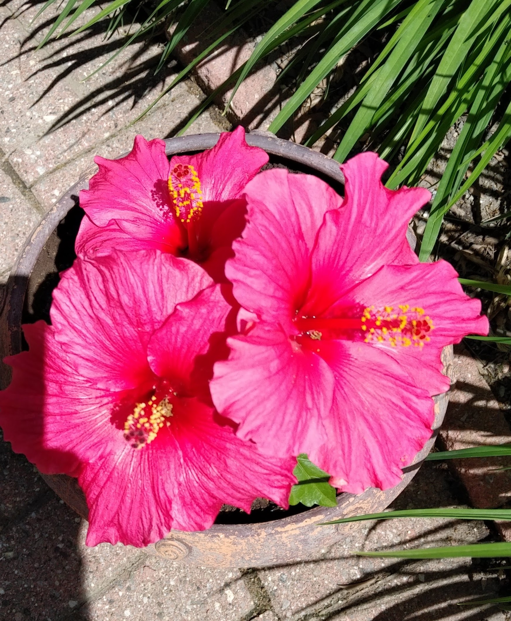 img_20220617_1155396