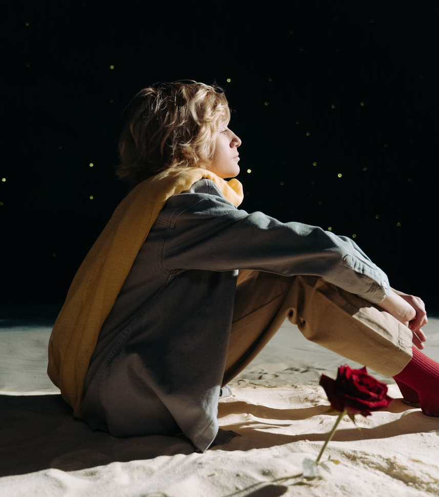 boy in yellow scarf and gray blazer sitting on the sand beside red rose