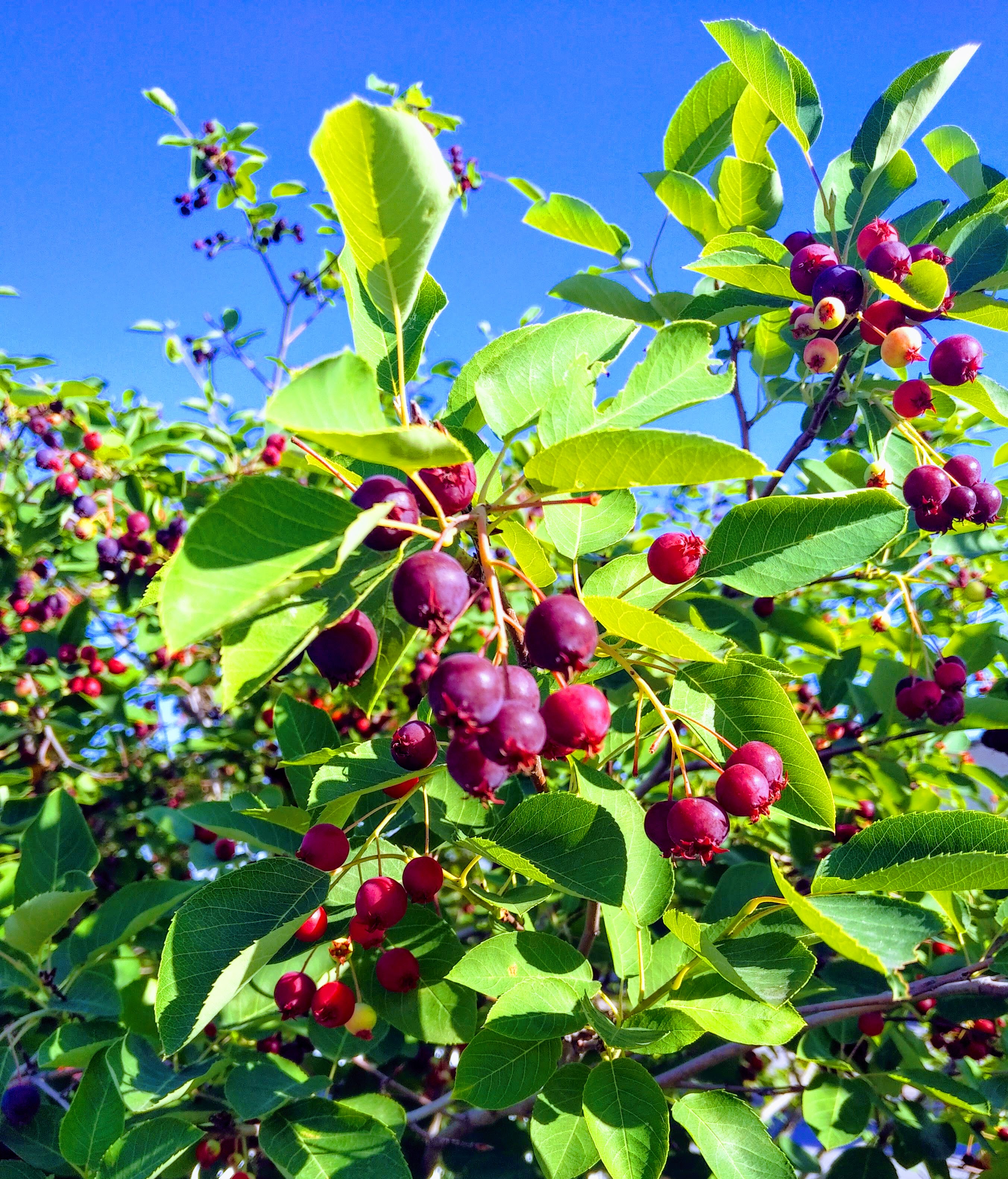 img_20220625_0823264