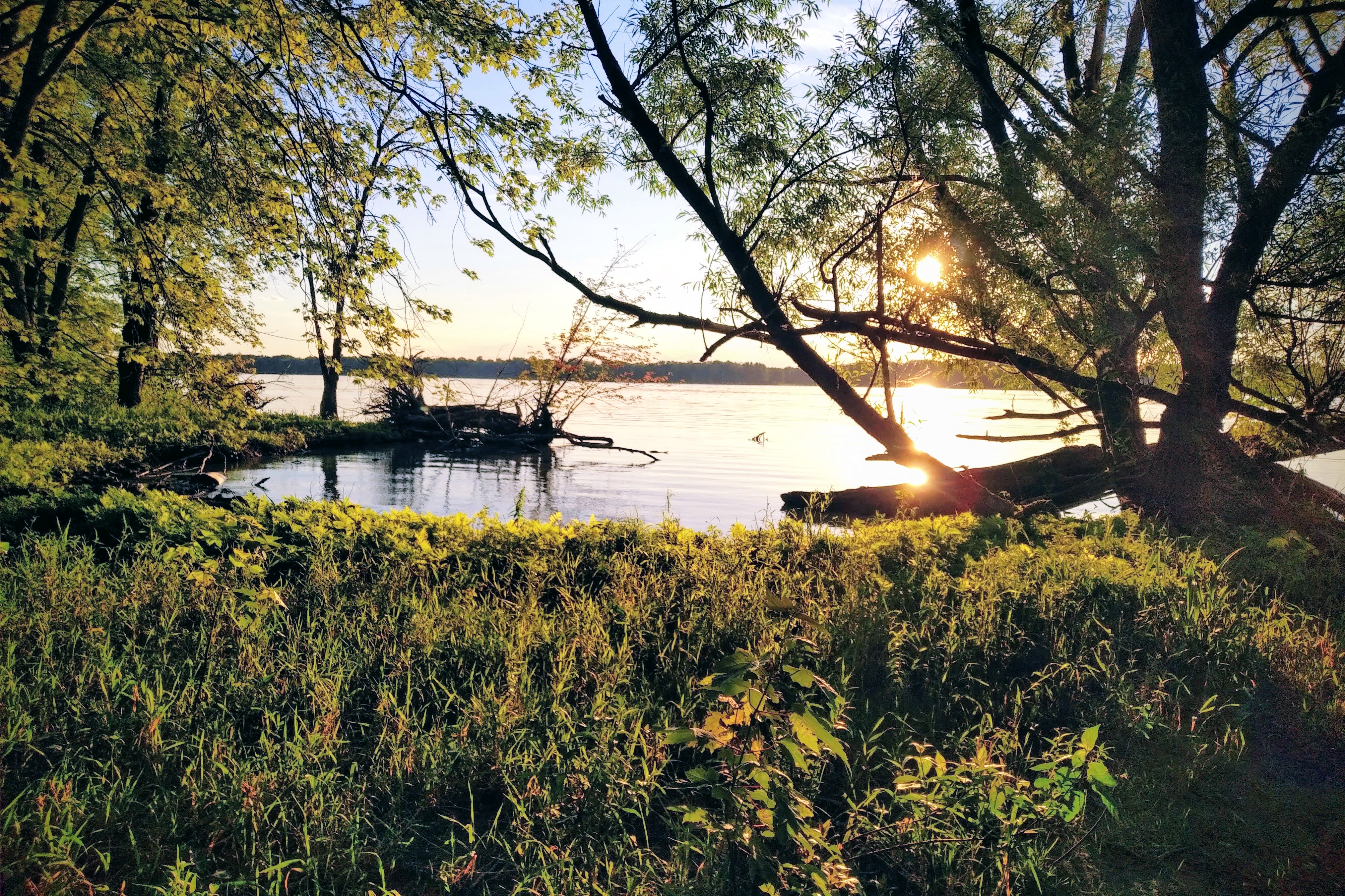 img_20220707_2005042-effects