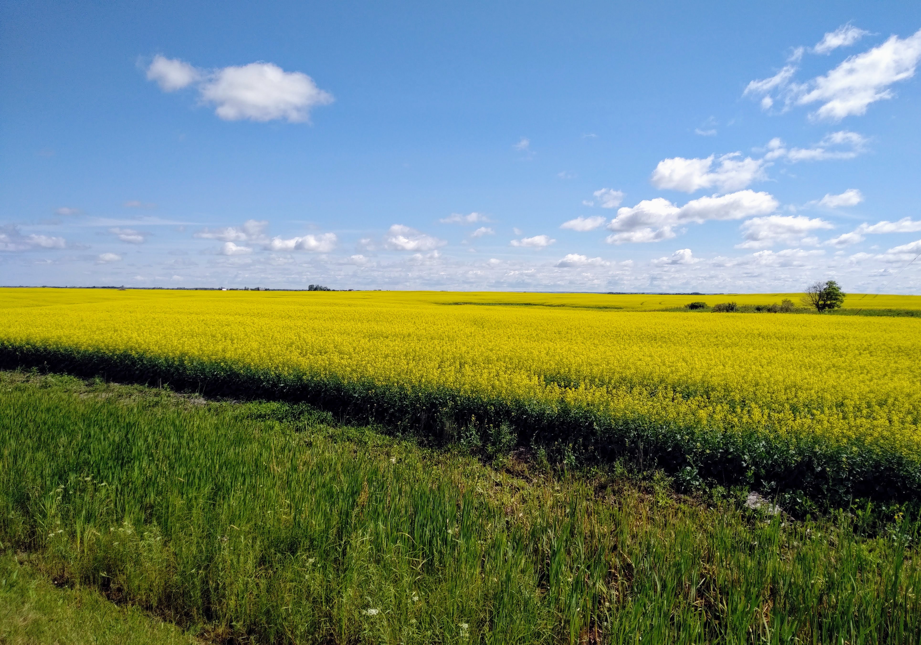 img_20220724_1040031-1