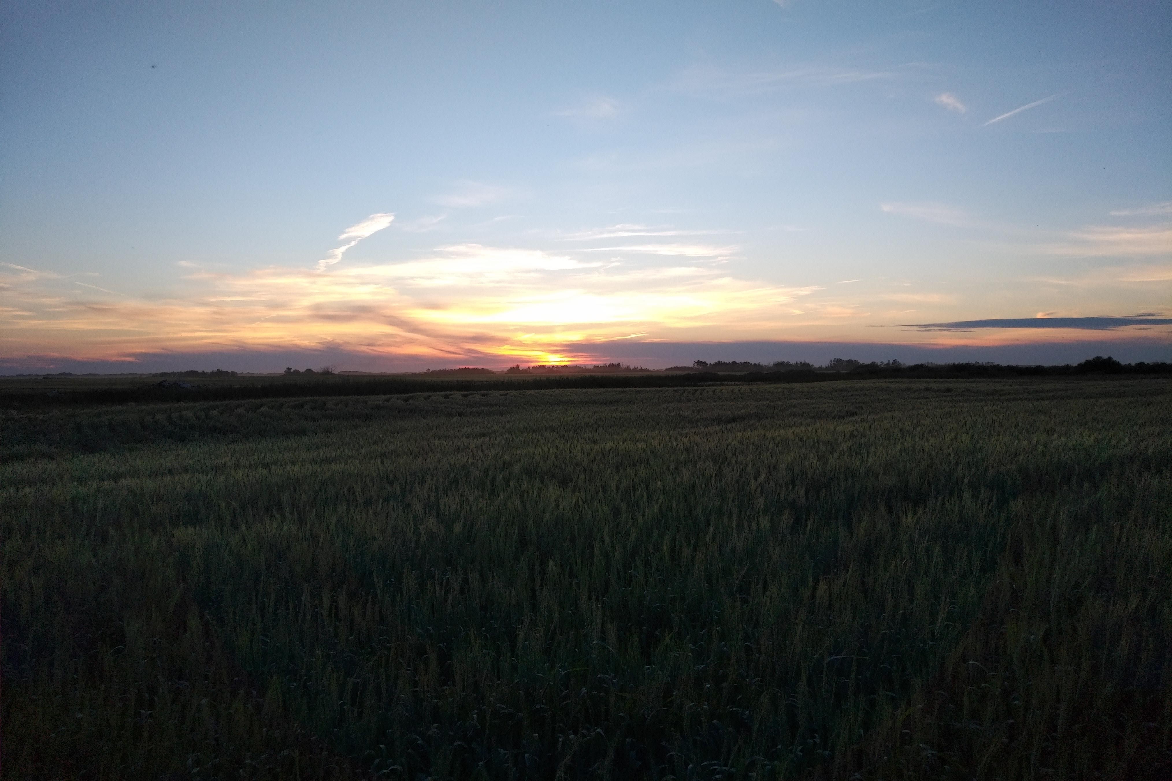 img_20220724_2039486