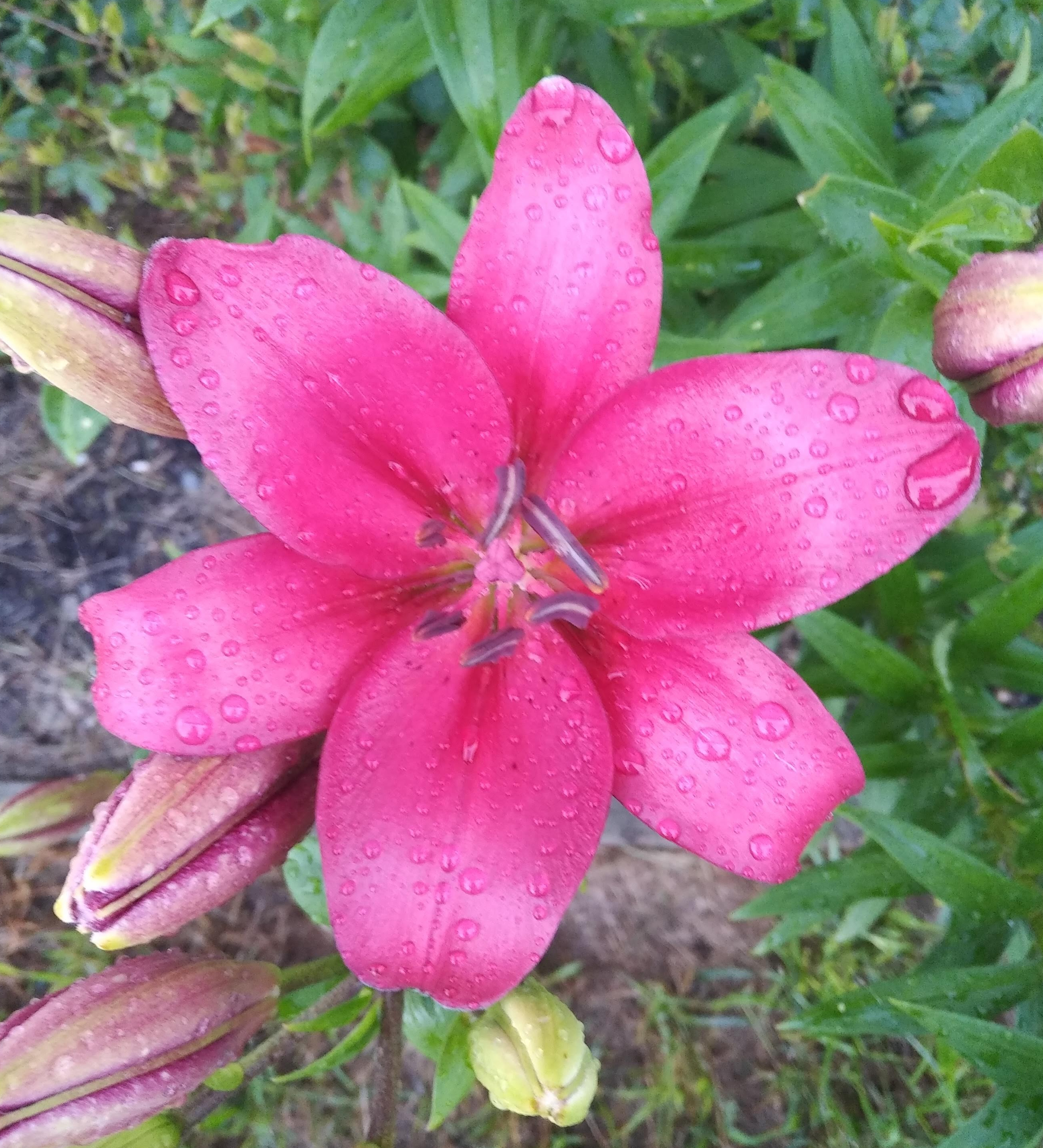 img_20220725_2021168