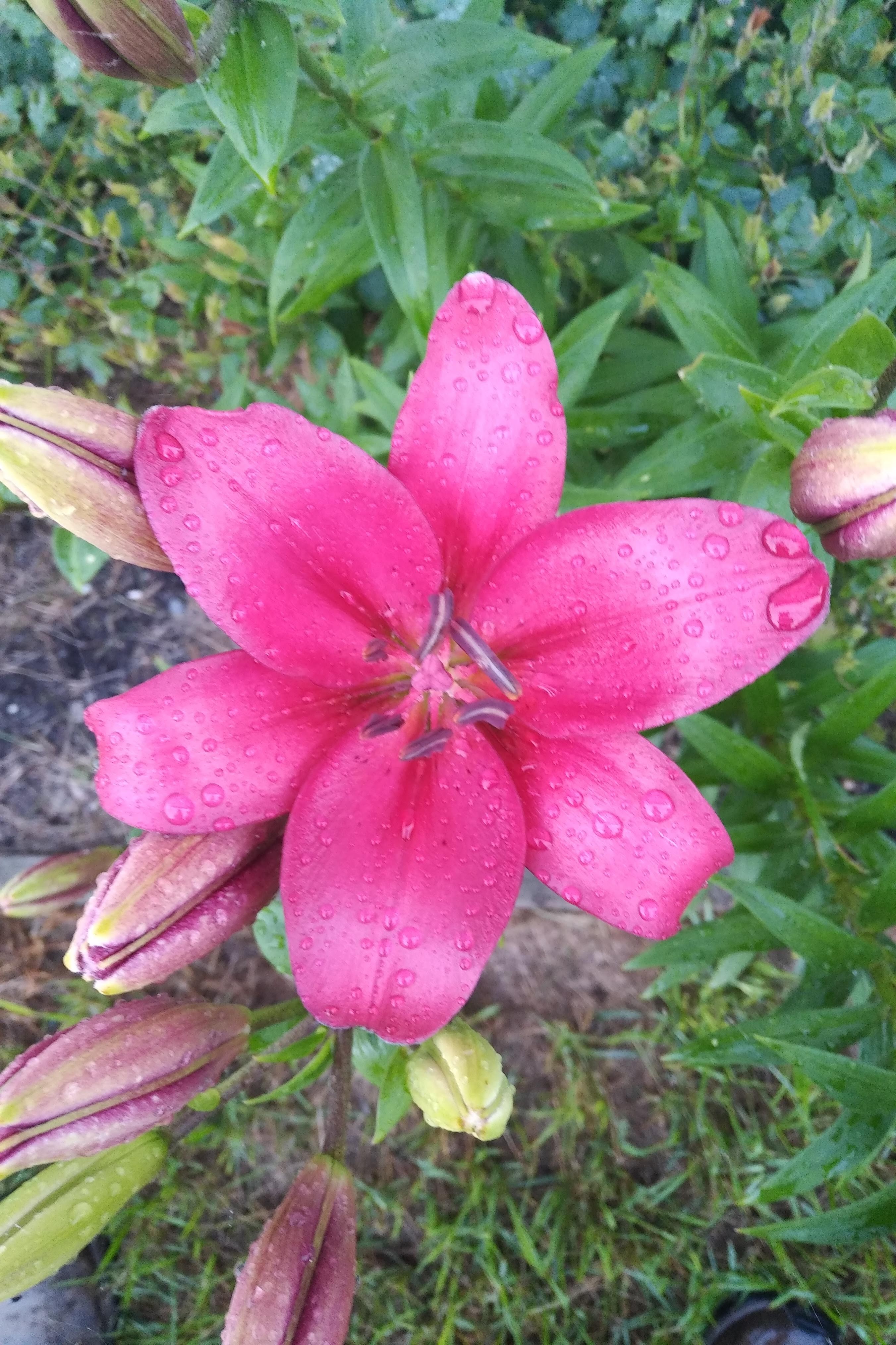 img_20220725_2021168