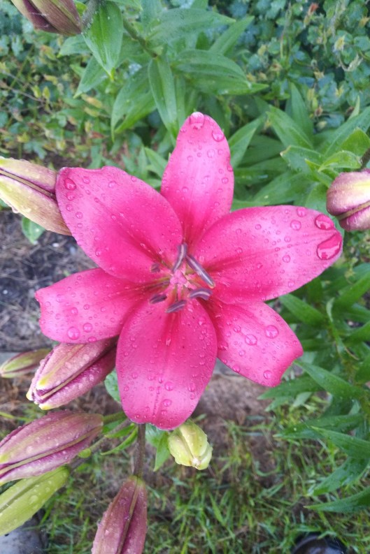 img_20220725_2021168