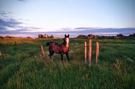 img_20220726_2025167-effects