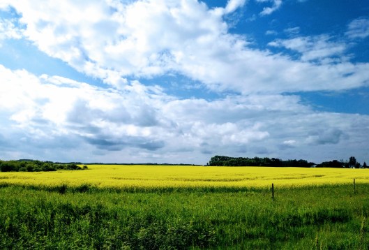 img_20220731_1617244