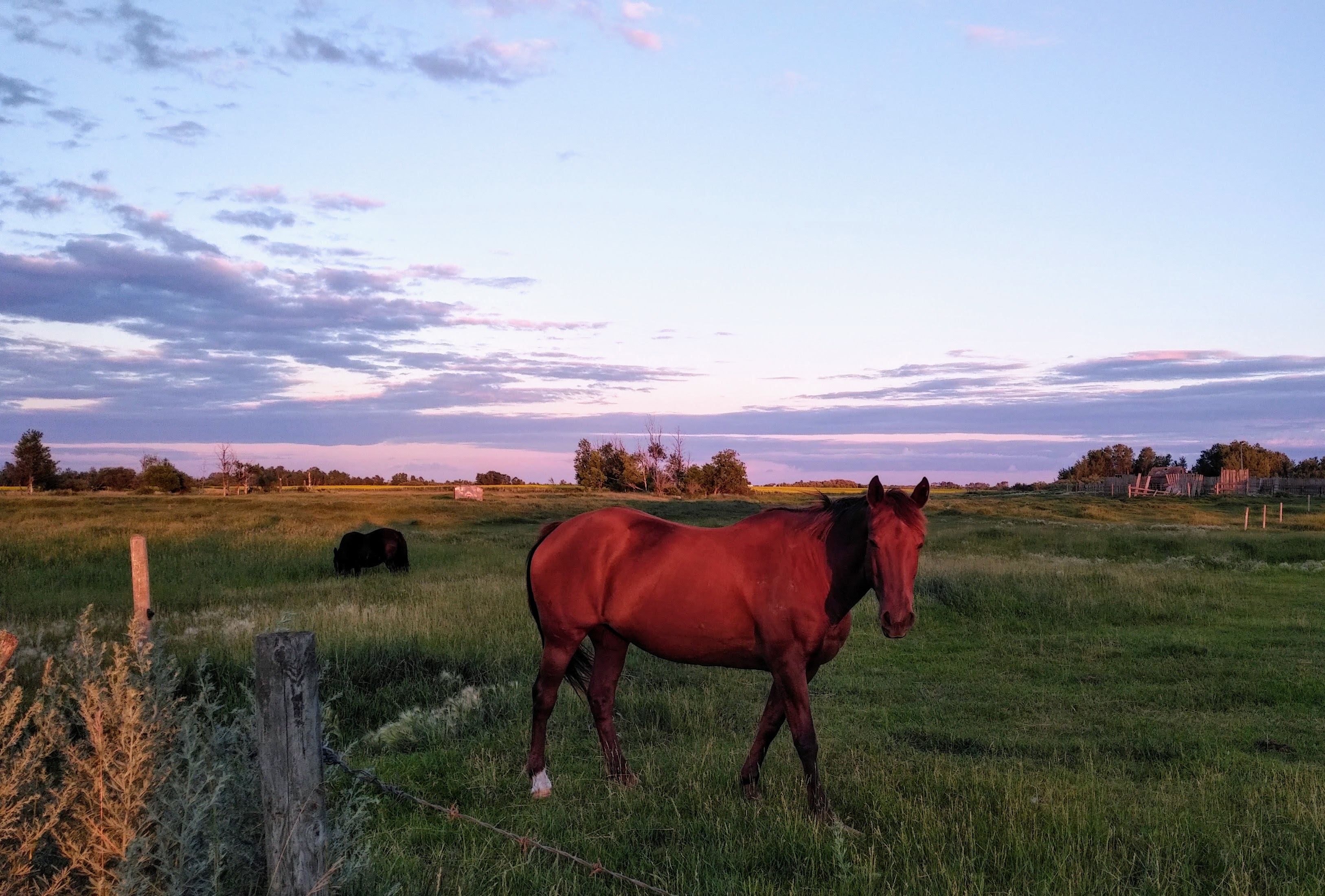 img_20220726_2025460