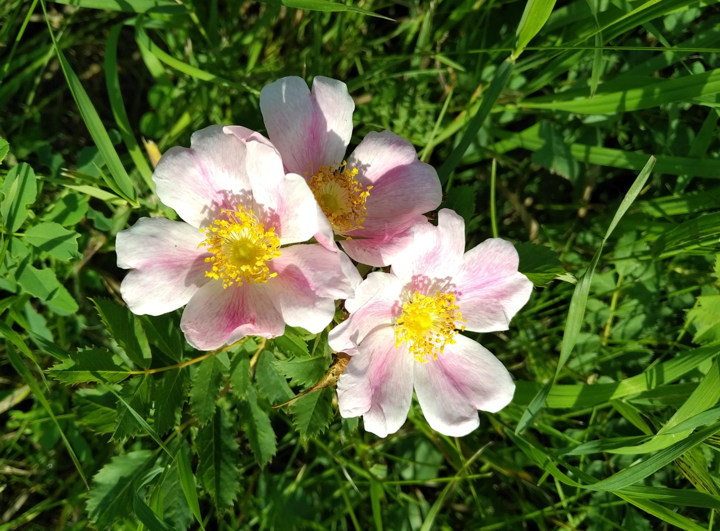 img_20220731_1624342