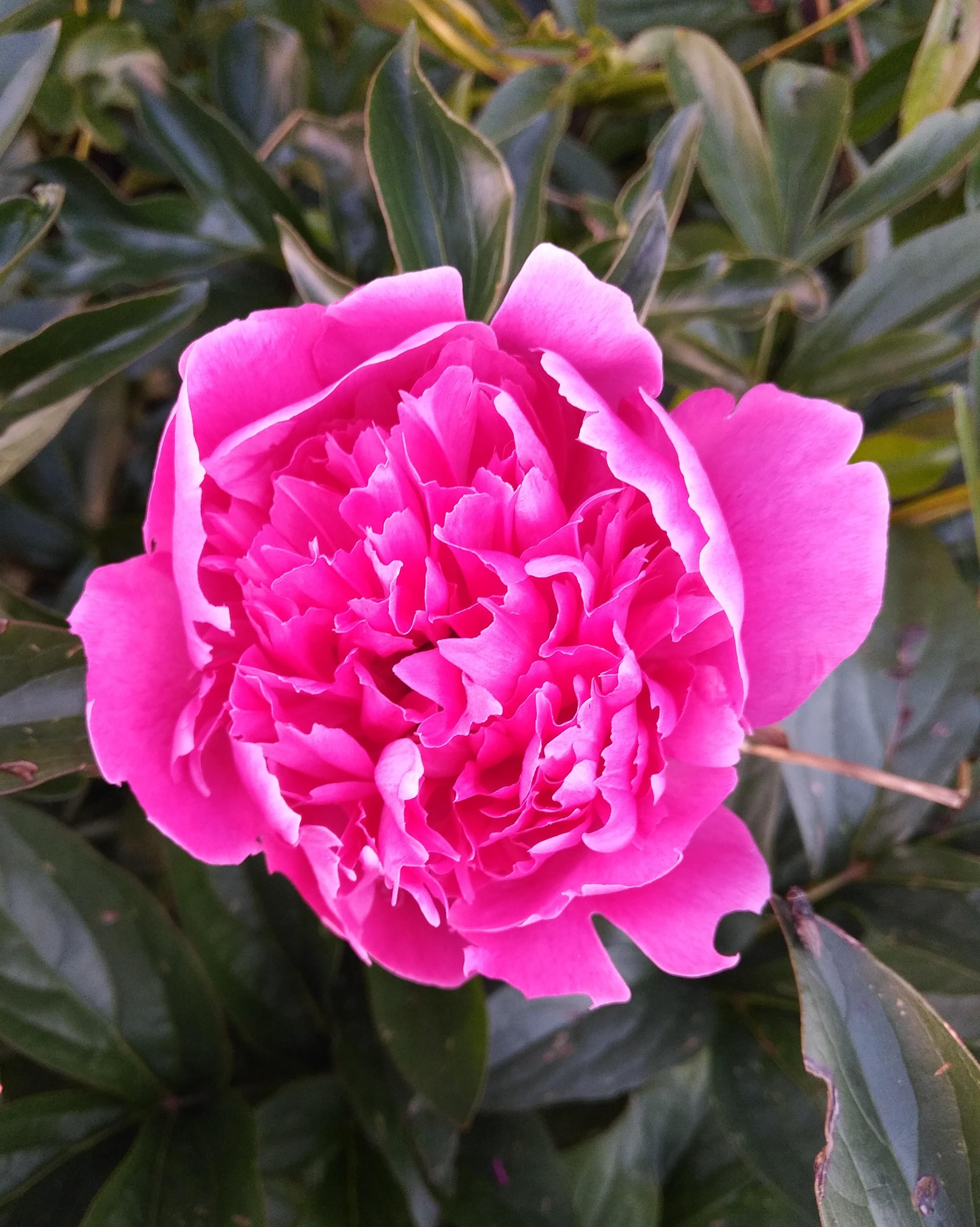 img_20220801_2006562