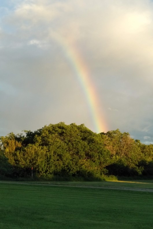 img_20220802_1954167