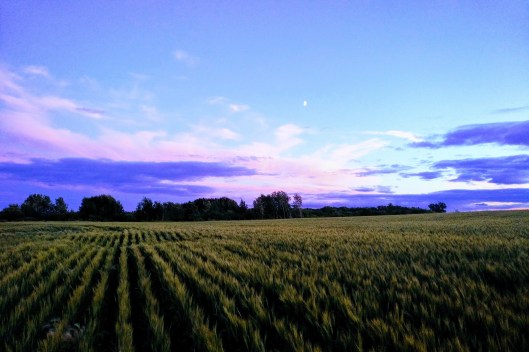 img_20220805_2039061-effects-1