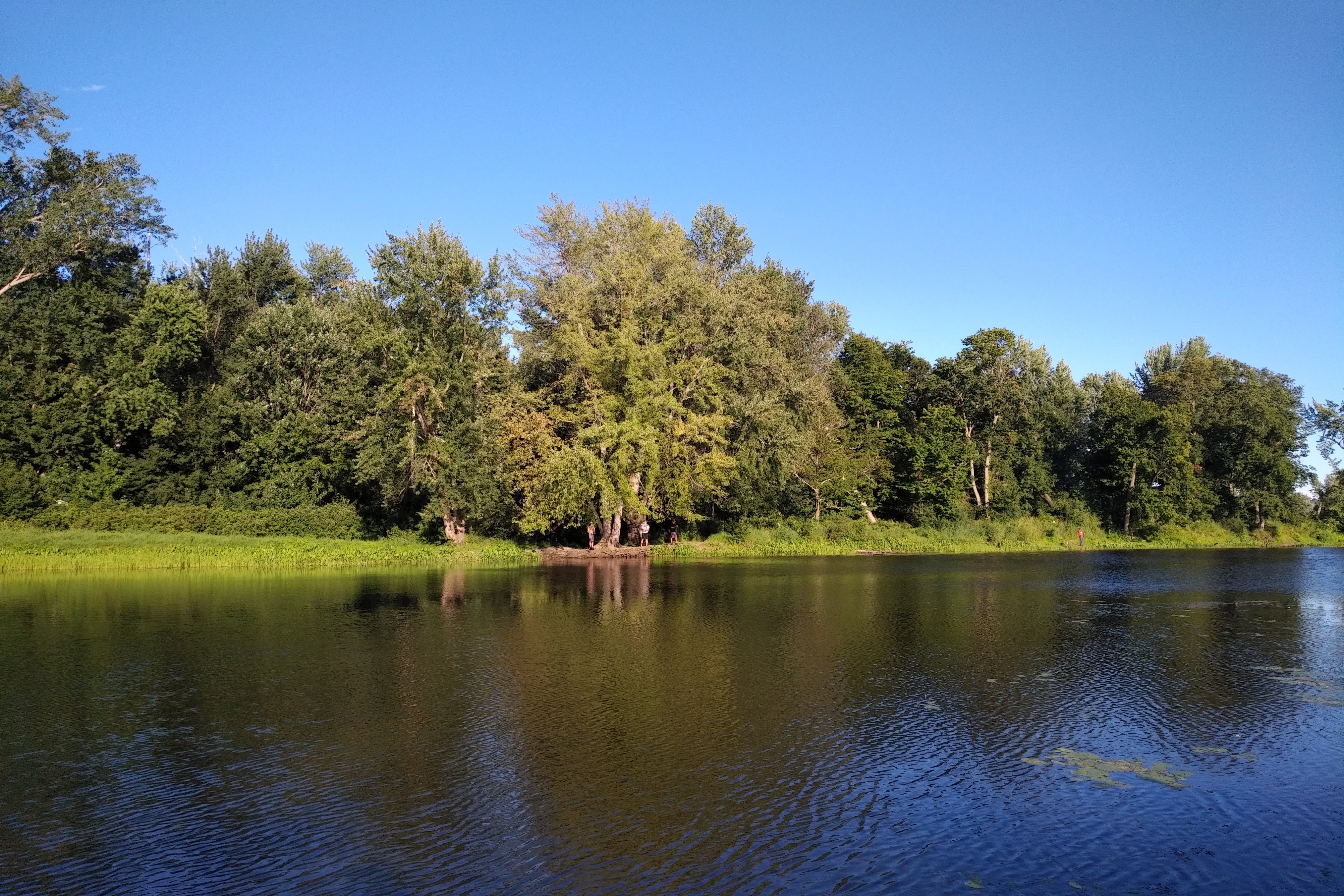 img_20220811_1824230