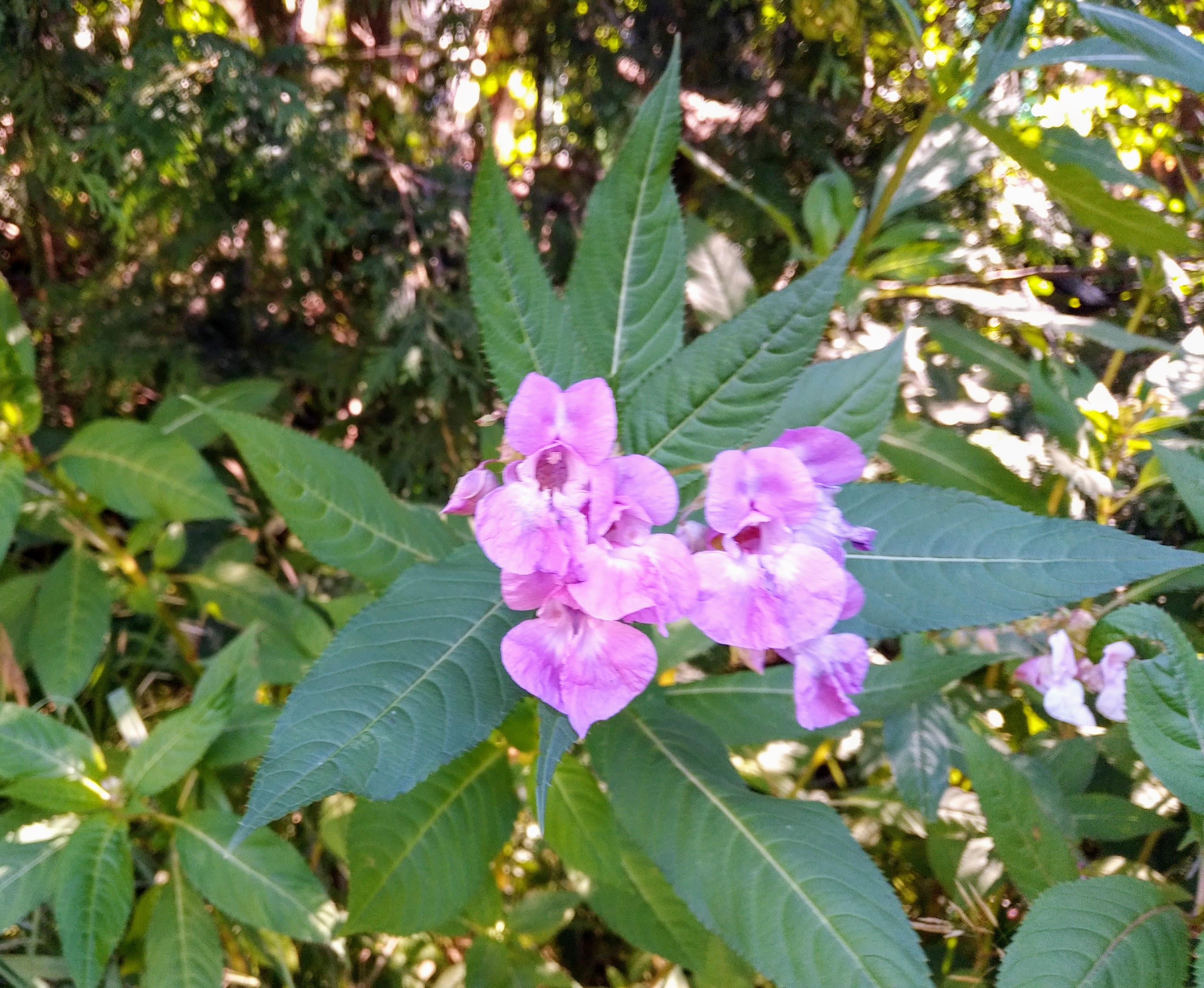 img_20220812_0929129