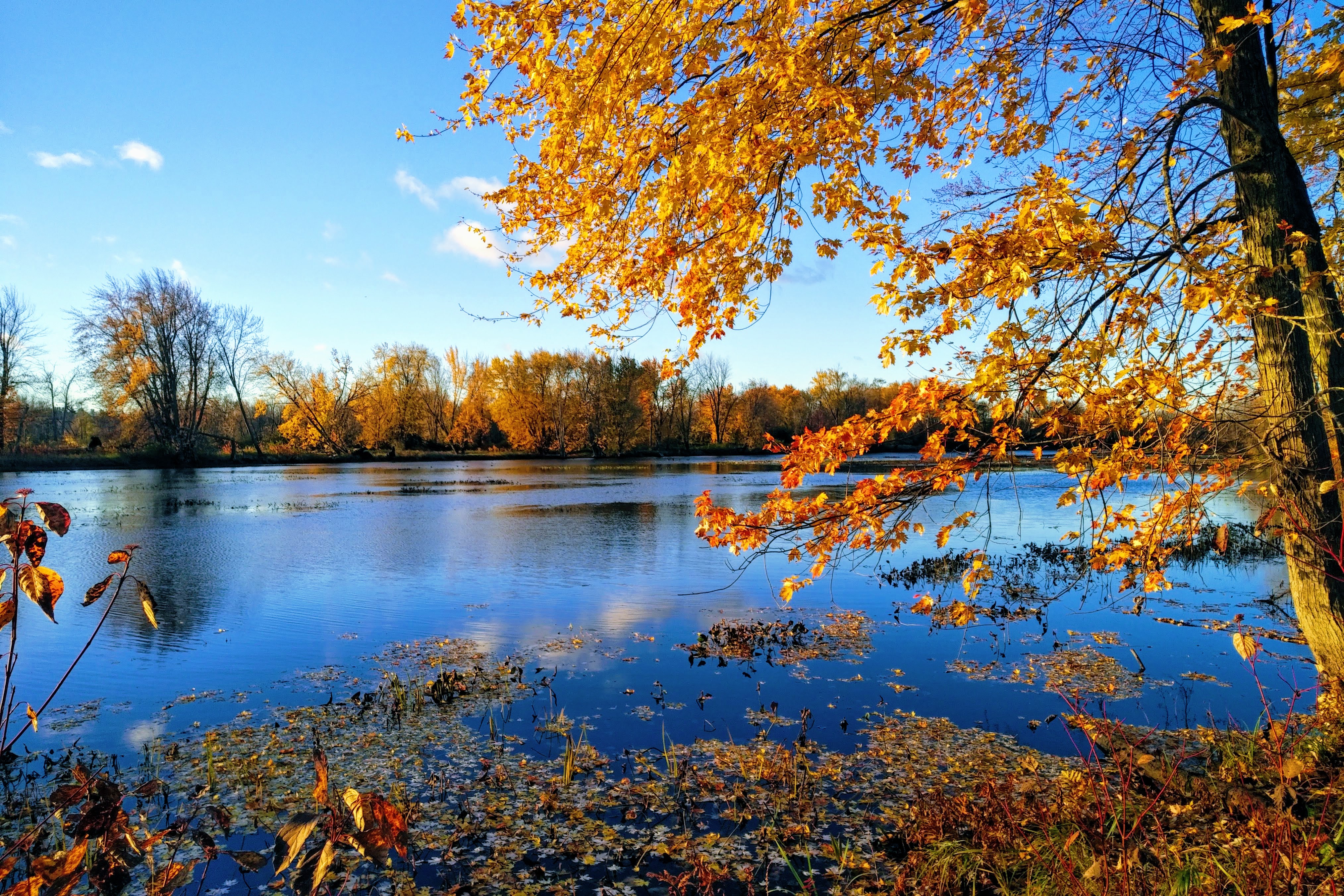 img_20211101_0715426