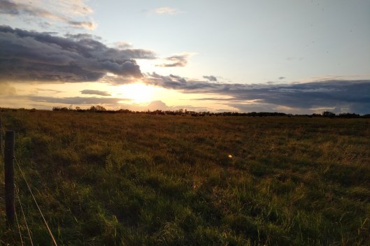 img_20220723_2058270