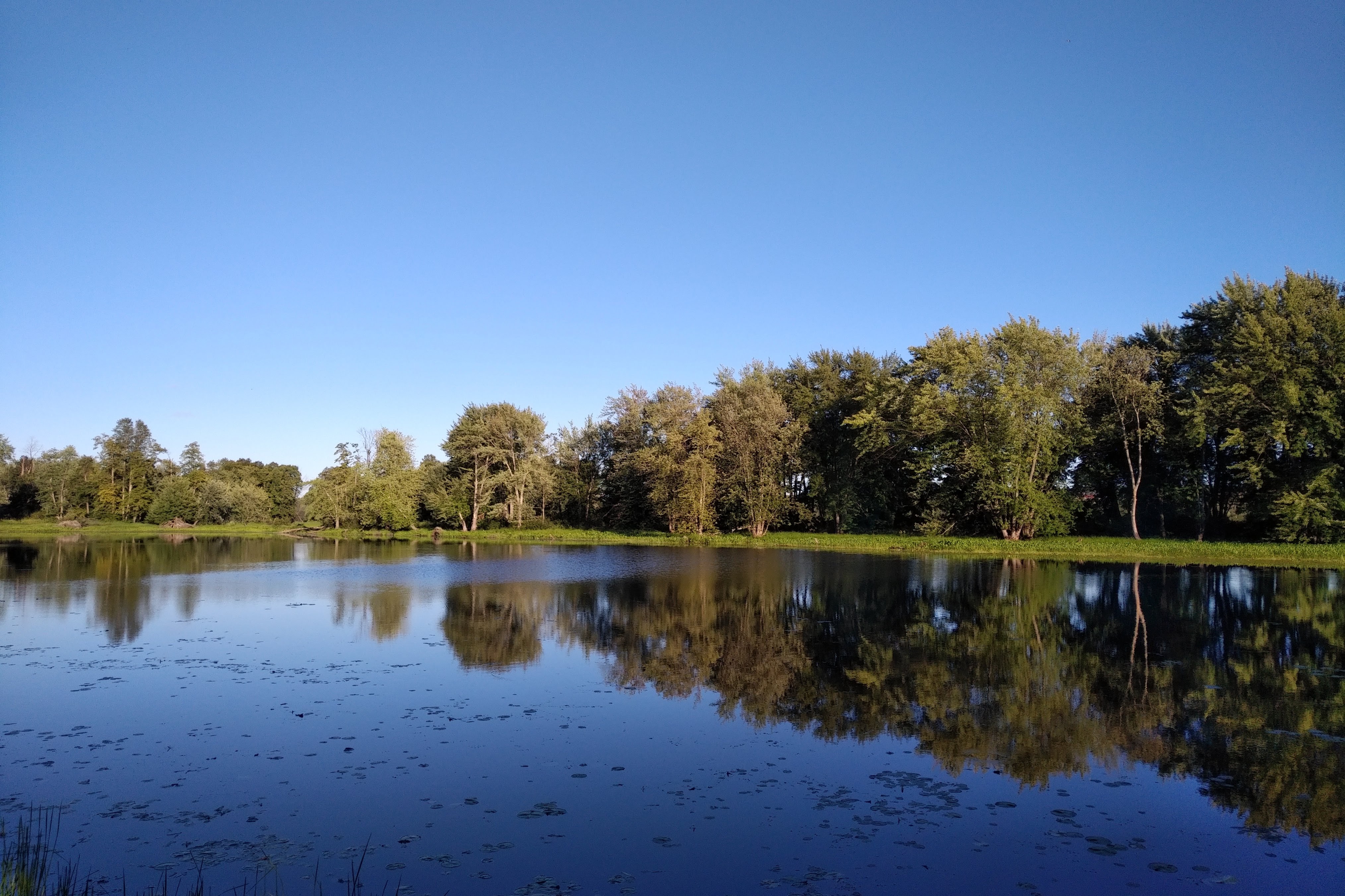 img_20220811_1853138