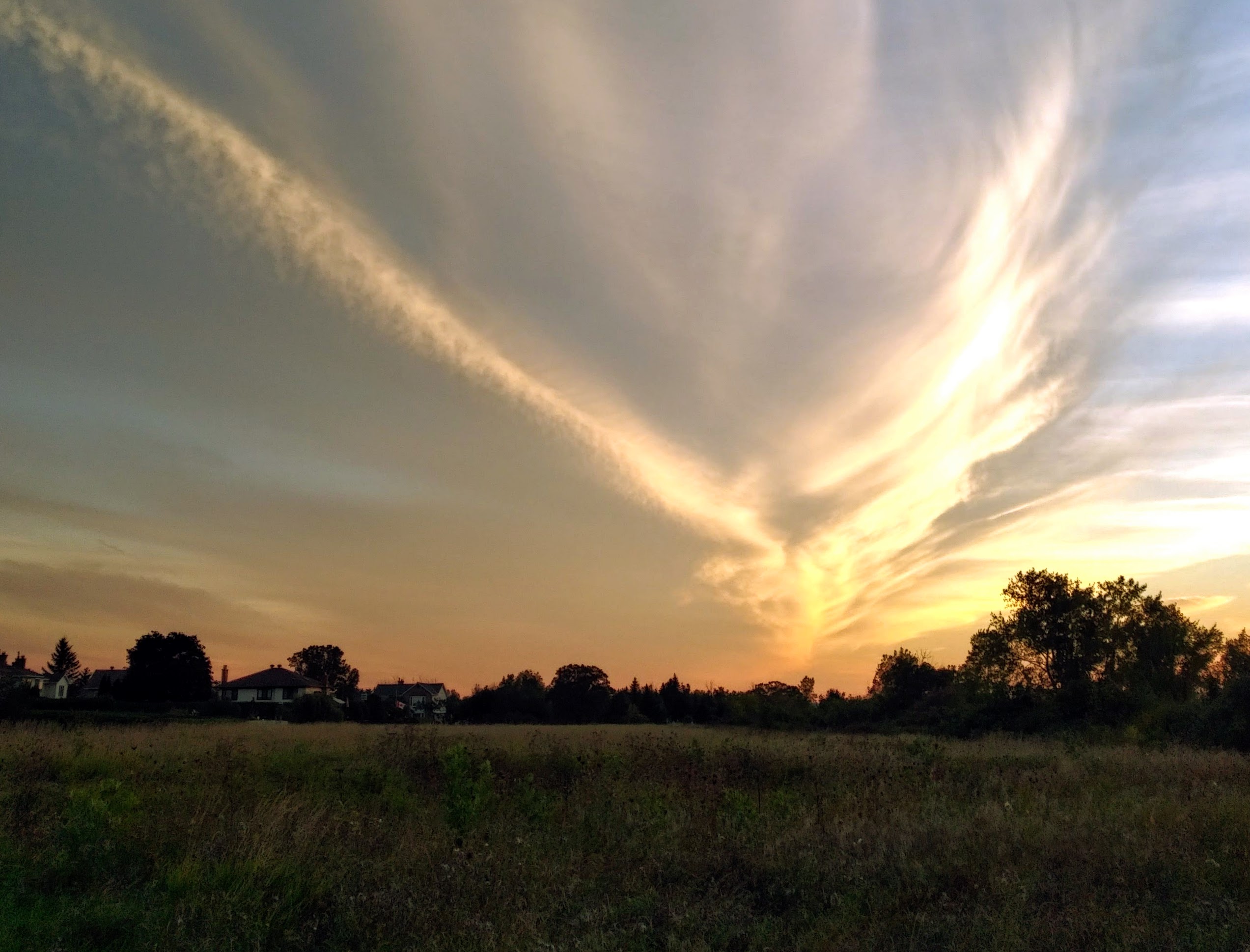 img_20220910_1916520