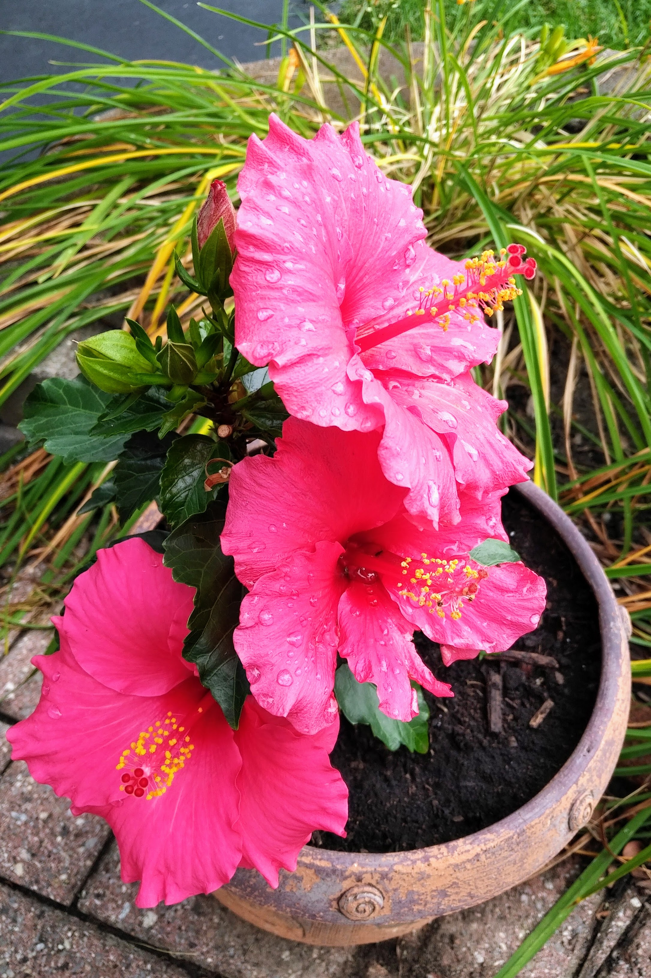 img_20220913_1045155