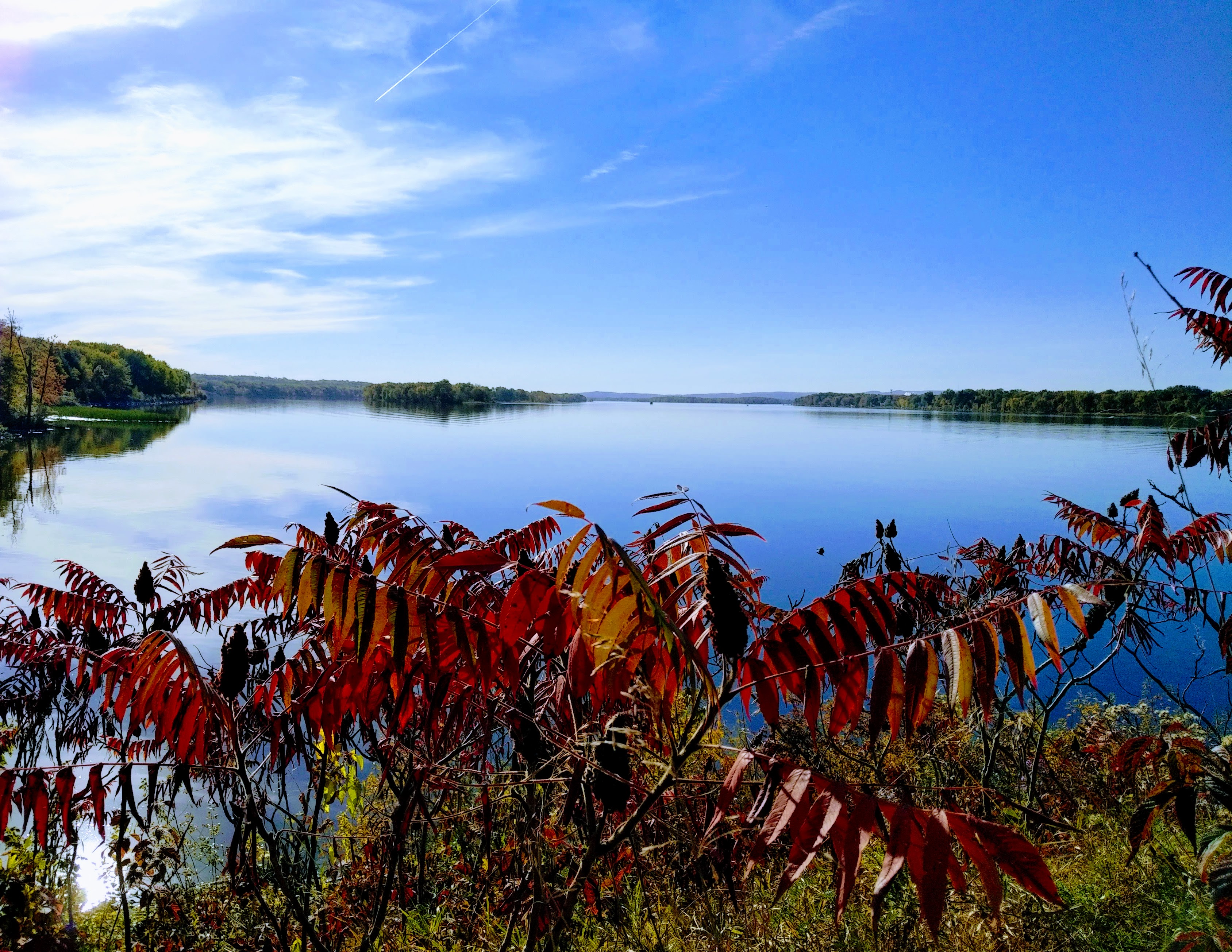 img_20221004_1604487