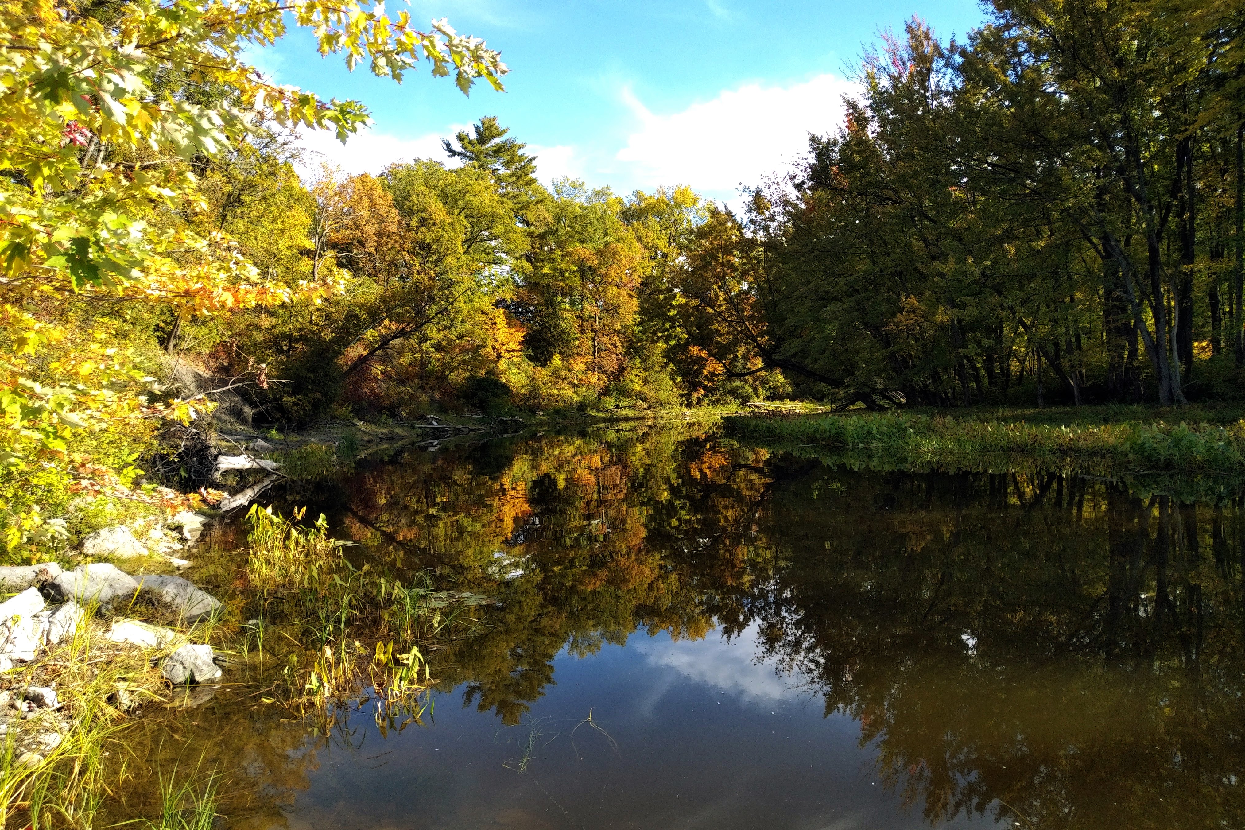 img_20221004_1608055-1