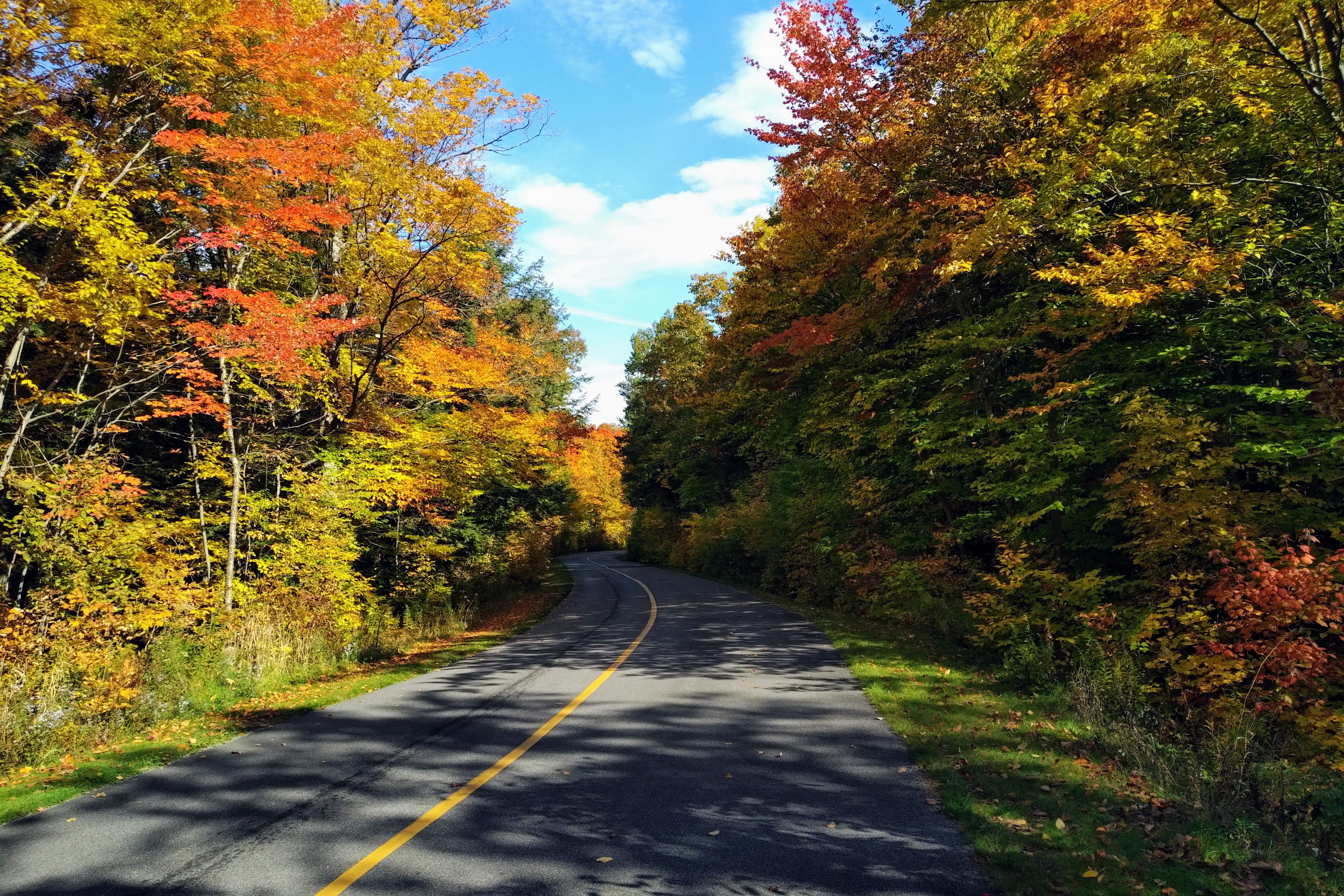 img_20221006_1114272