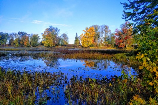 img_20221011_0927589-effects