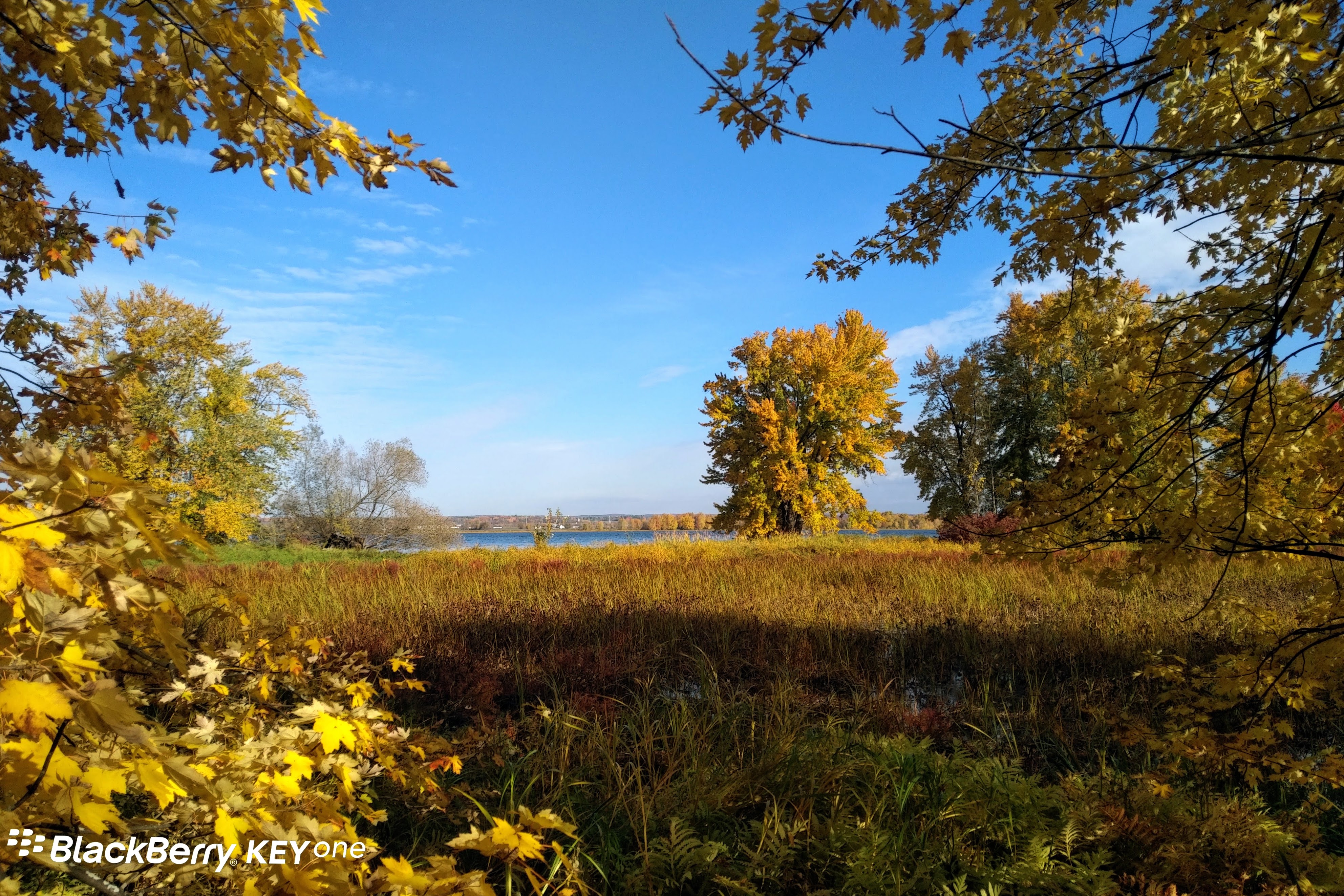 img_20221015_1008095